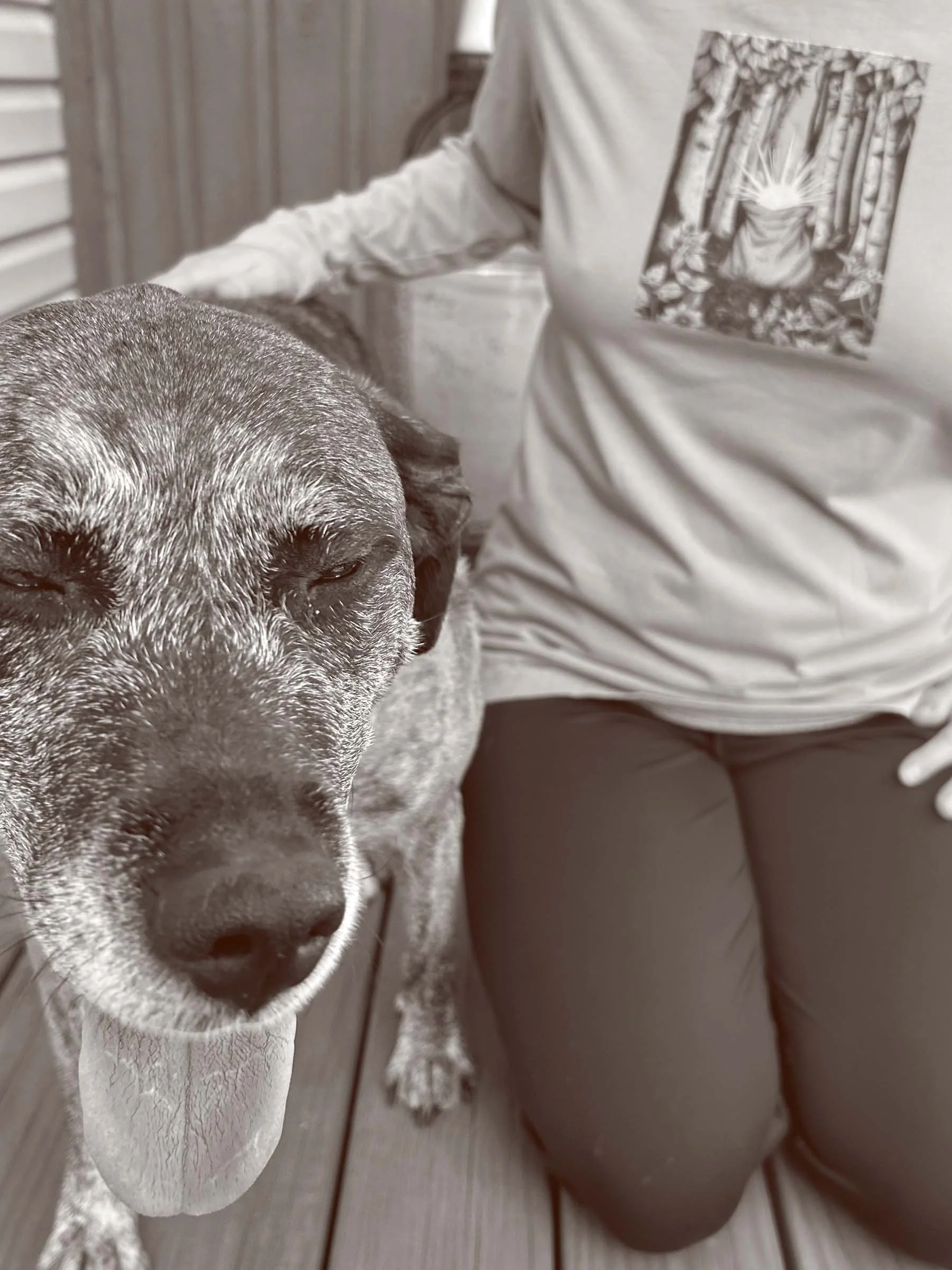 Close-up of a dog’s face, with its nose and part of its closed eyes visible, standing on a wooden deck, near a person wearing a shirt with a printed design of sunshine in a bag.