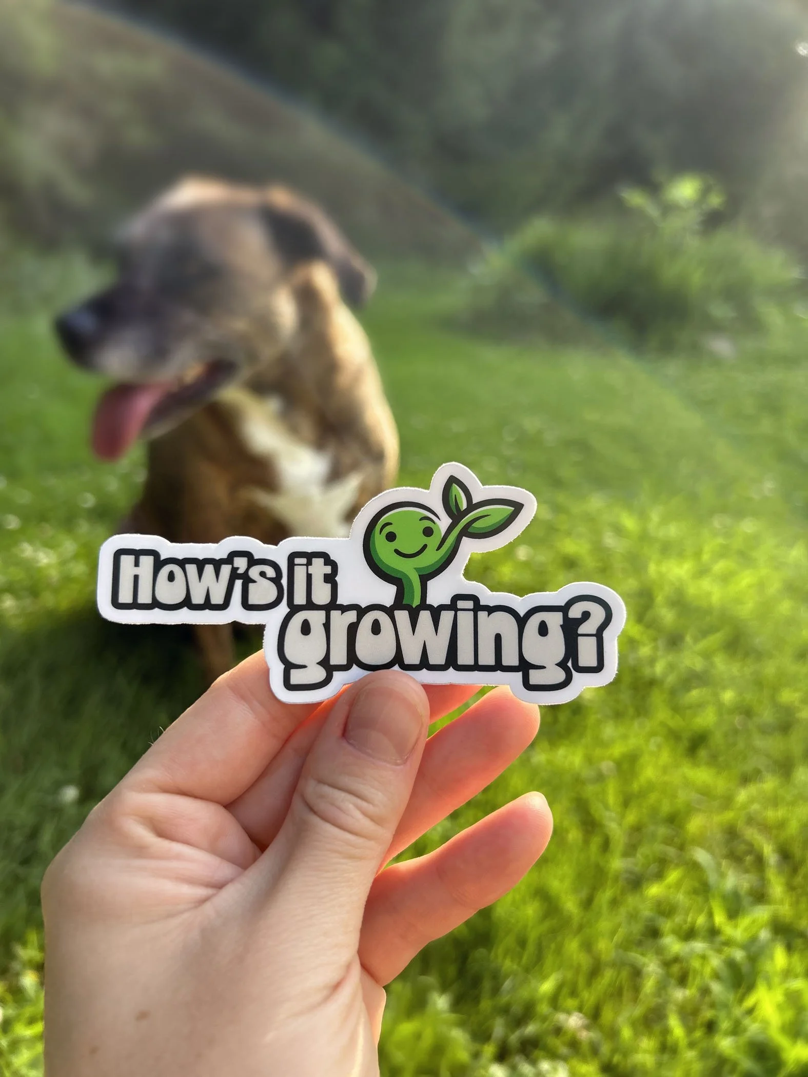 Hows it Growing - Chem LR.jpg