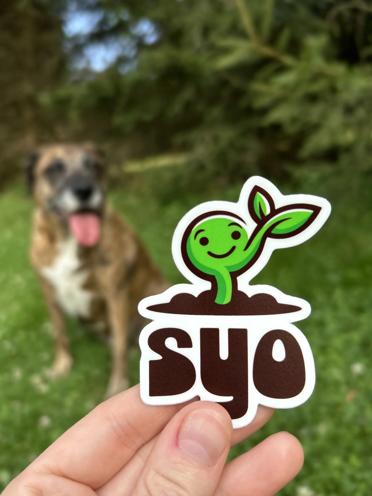 SYO Sticker LR.jpg