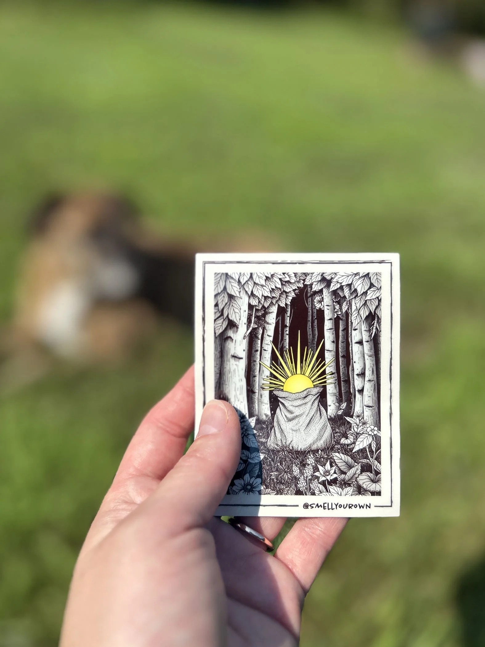 Sunshine - Chem LR.jpg