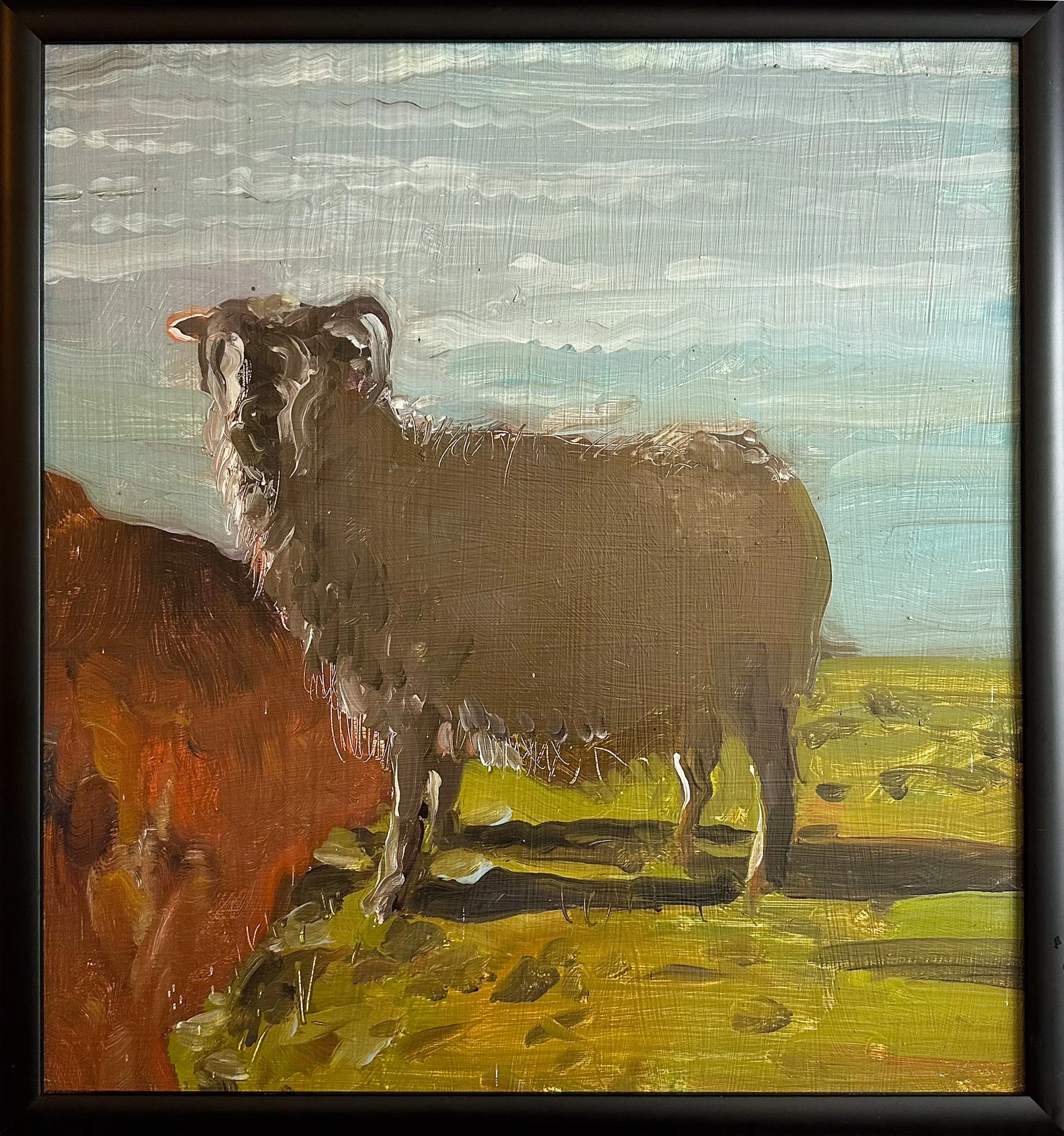 Sheep County Mayo.jpg