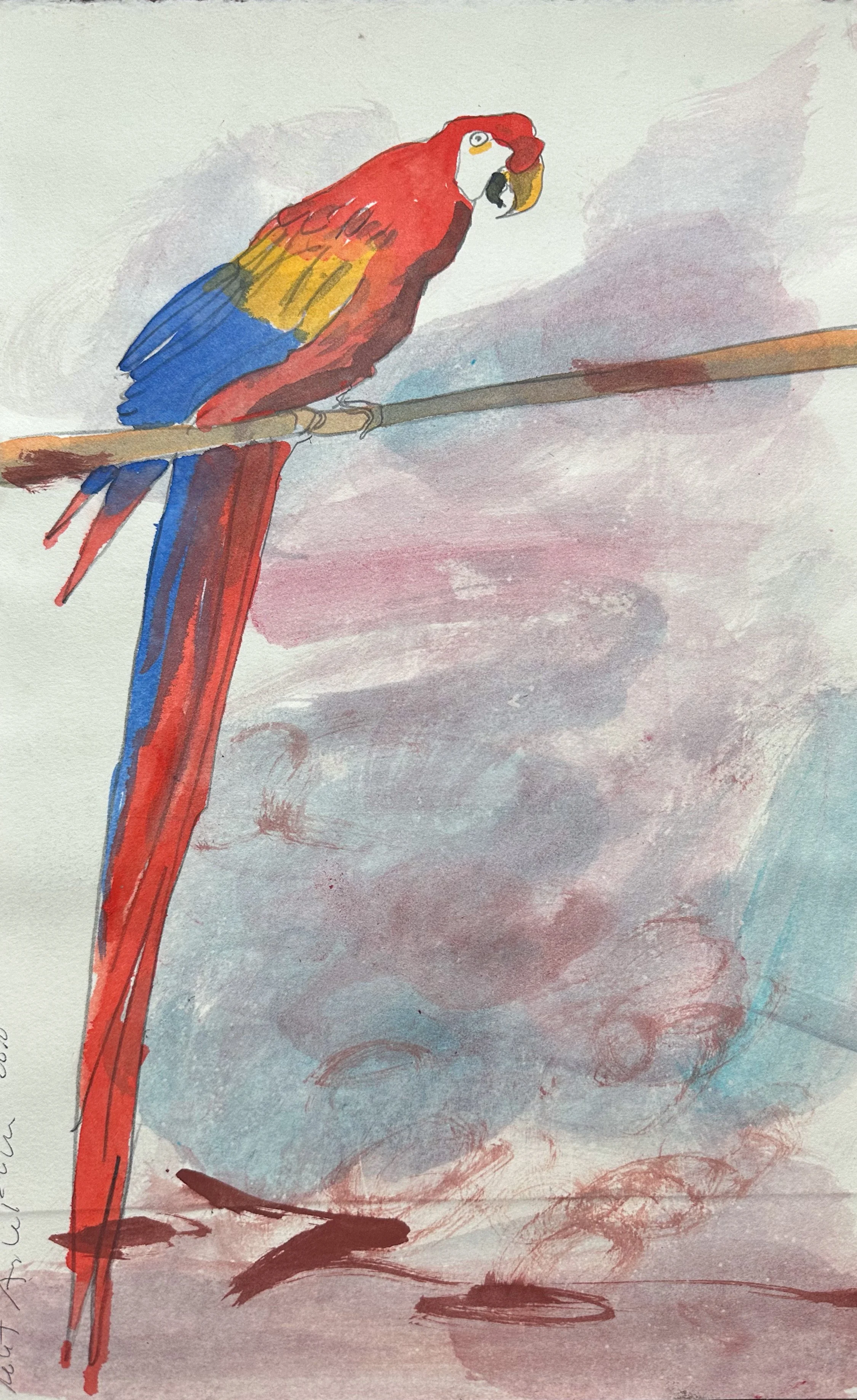 McCoy the Maccaw - hand tinted monoprint - 15"H x 9"W