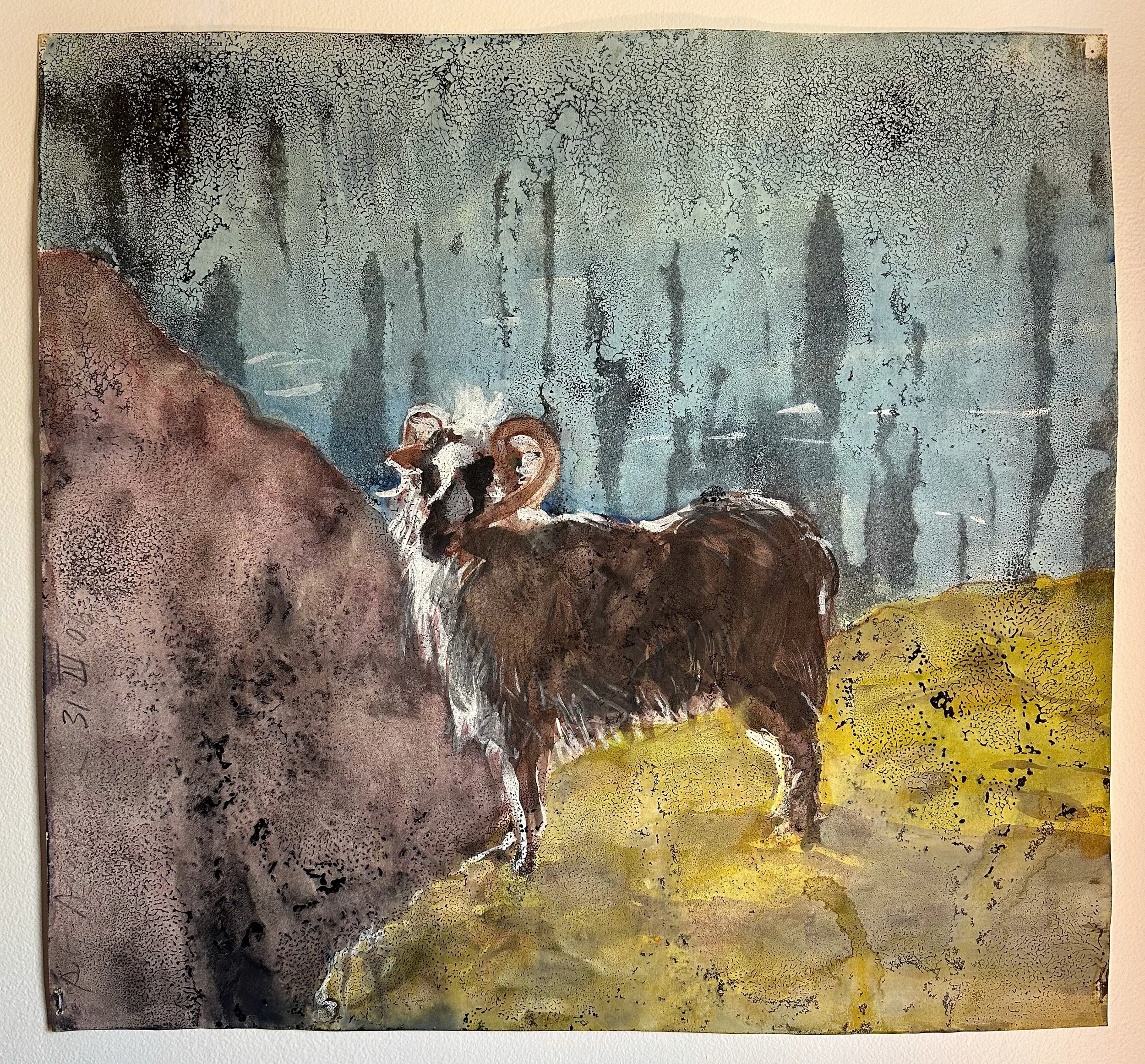Sheep in Donegal - watercolor on paper - 18"H x 19 1/2"W