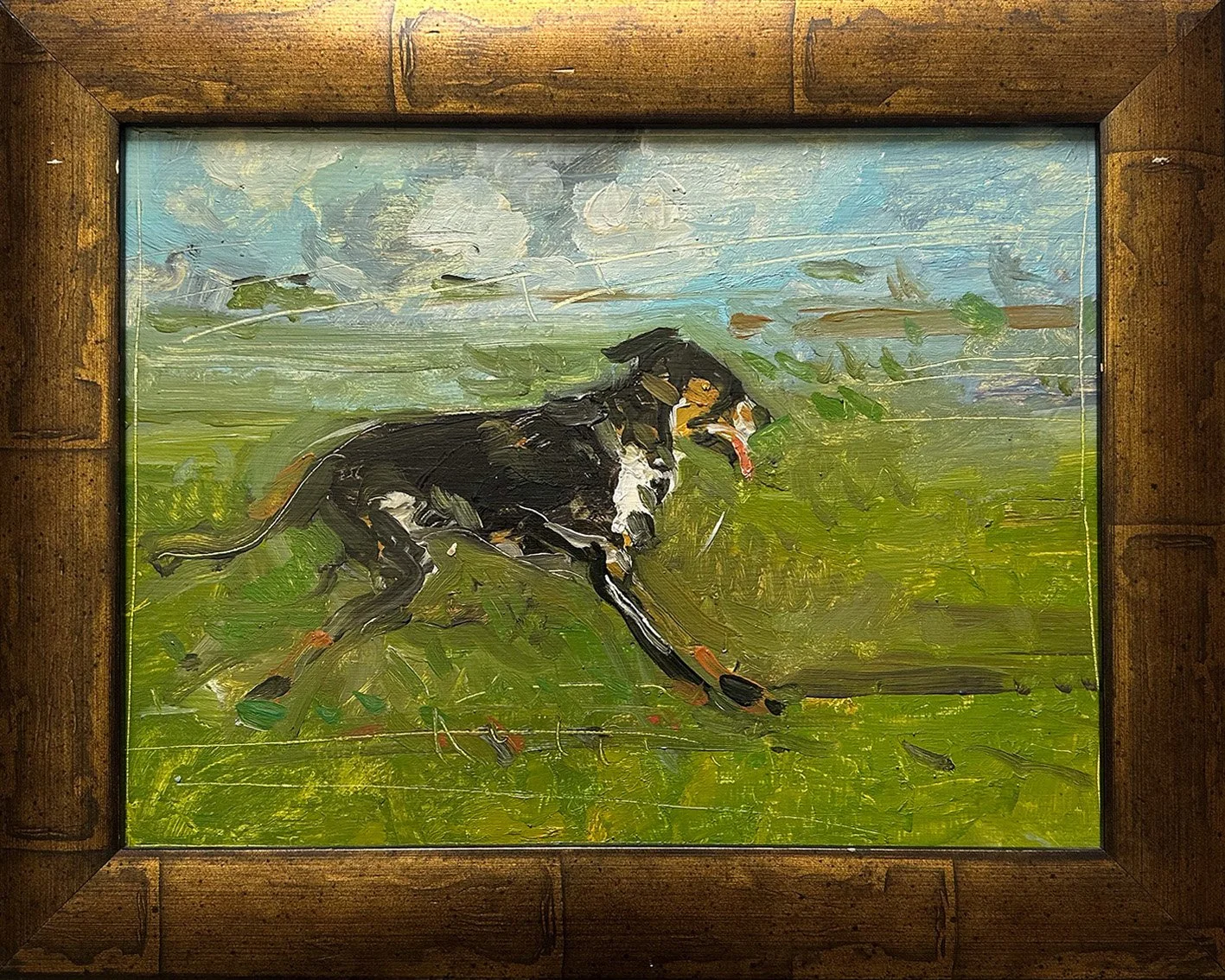 Maine_Dog.jpg