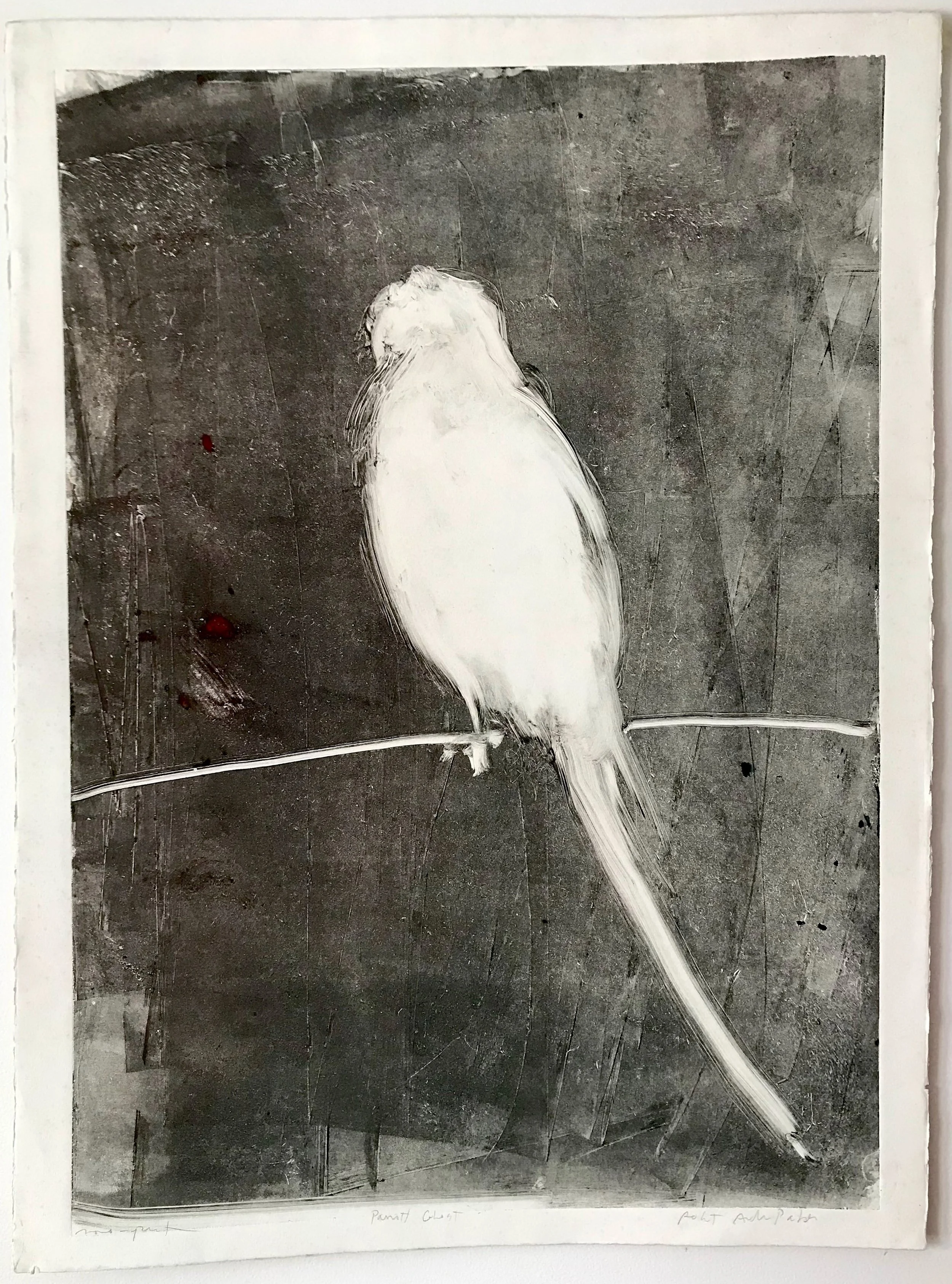 Ghost Parrot - monoprint on paper - 30"H x 22"W 