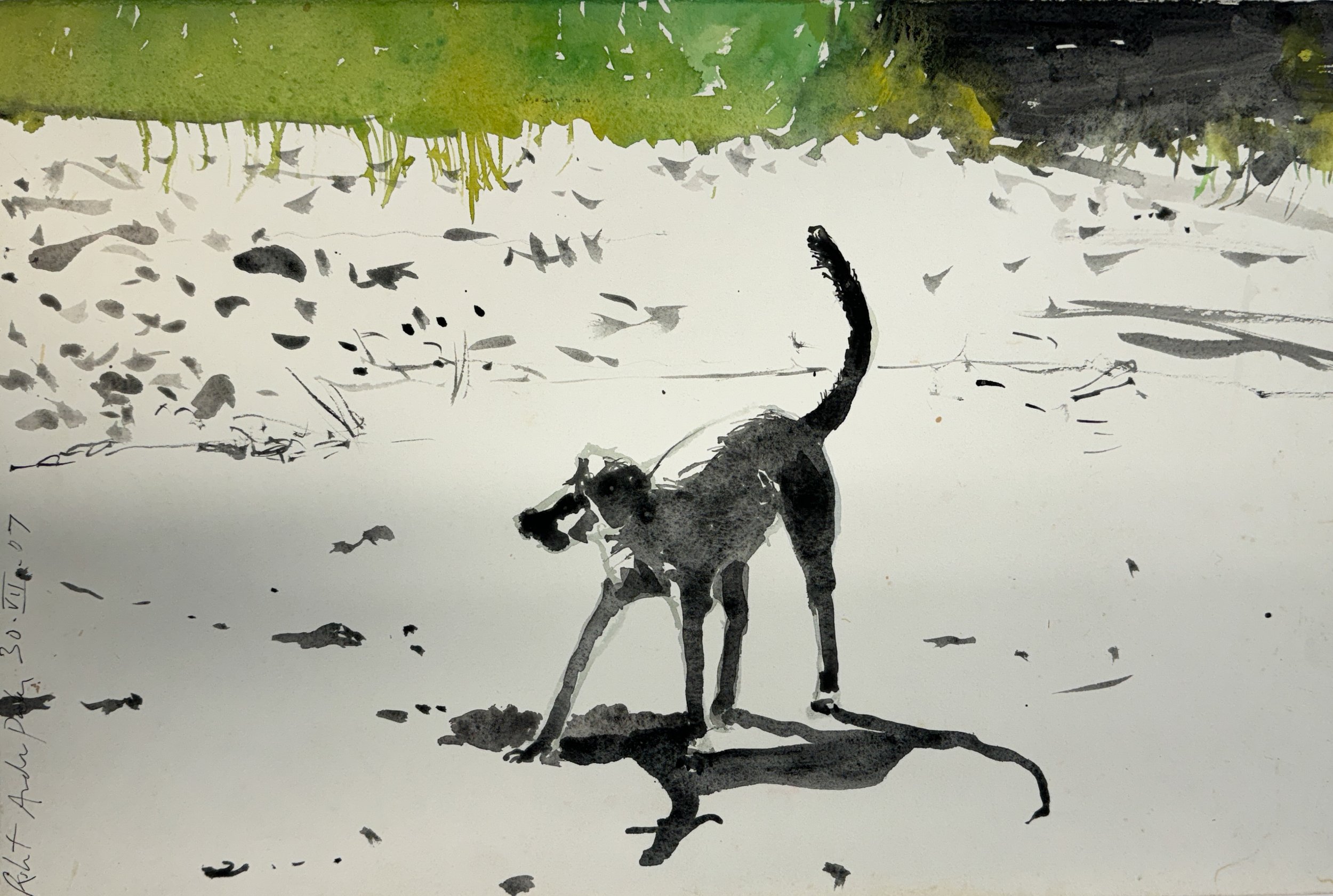 Mutt - watercolor on paper - 15"H x 22"W