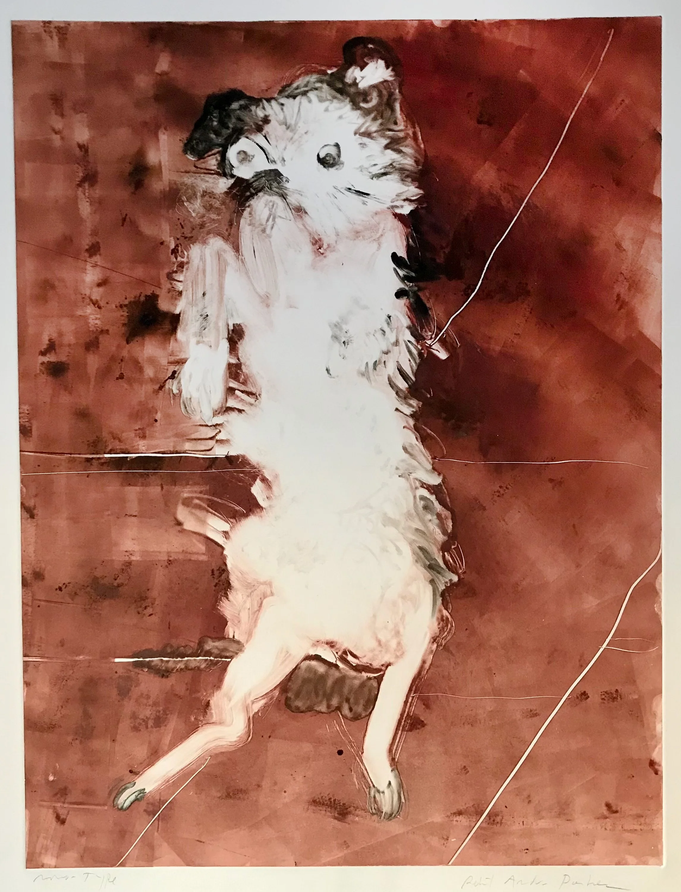 Playful Terrier - 30"H x 22"W - monotype on paper 