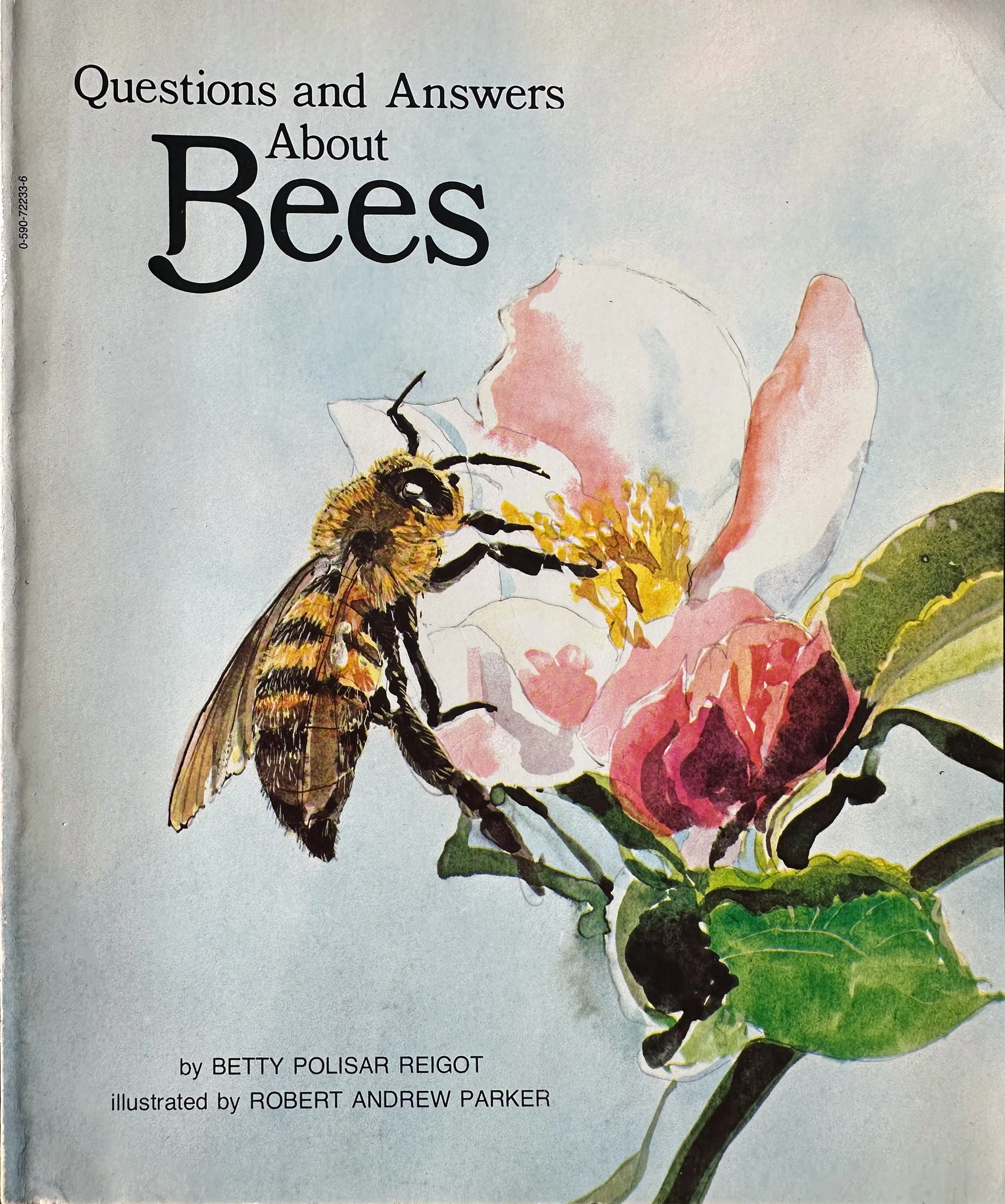 Questions and Answers About Bees - written by Betty Polisar Reigot - Scholastic 1983