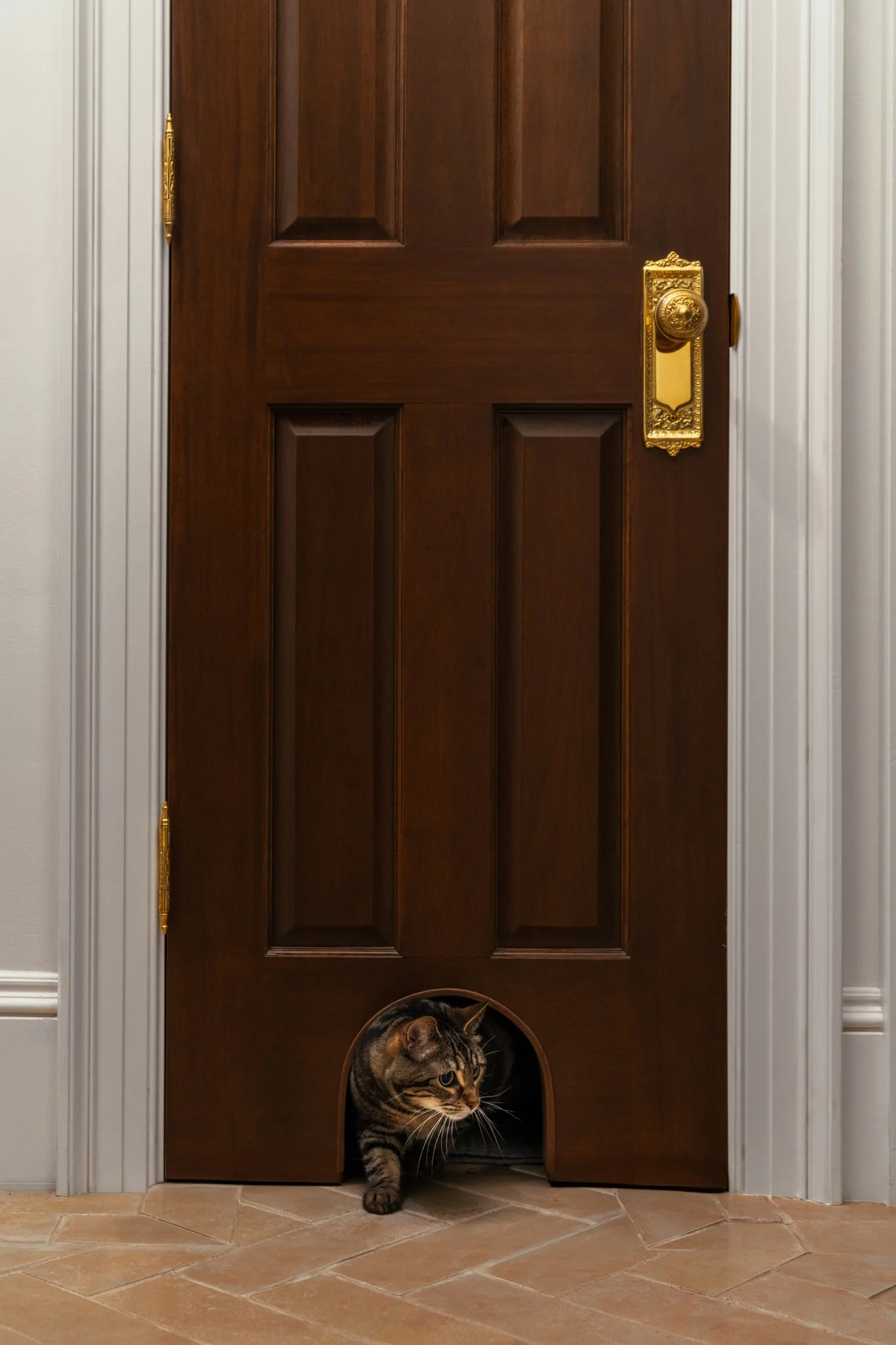 A tabby cat exiting through a small pet door at the bottom of a dark wooden door.