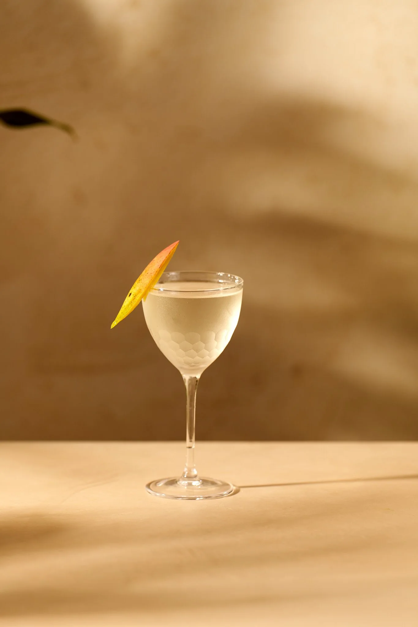 Beverage photography  for Richard Sandoval Hospitality featuring  A coupe glass filled with a clear beverage, garnished with a lemon slice on the rim, placed on a wooden surface with a blurred light brown background.