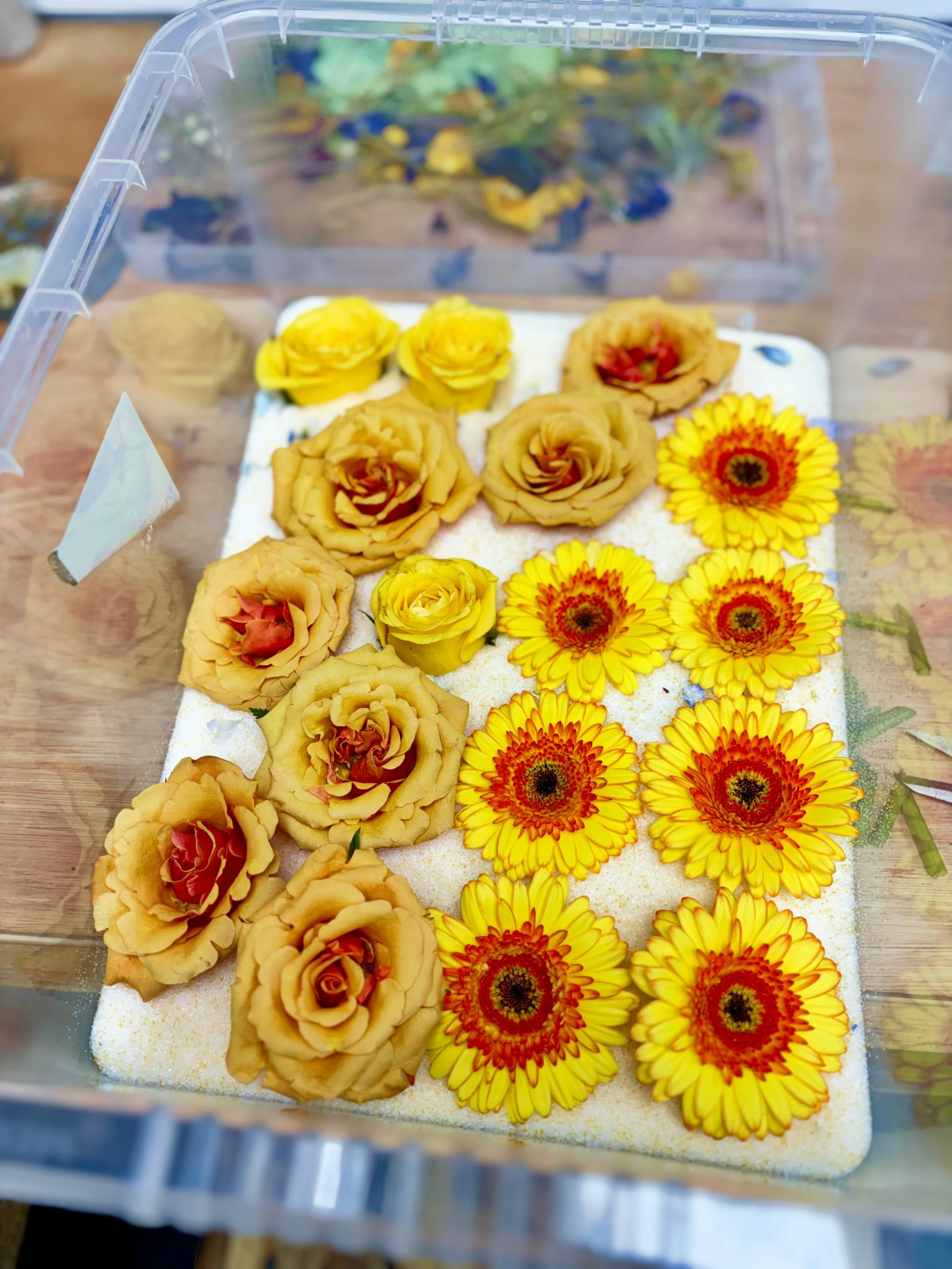 What Happens to Flowers When They Are Preserved in Resin?
