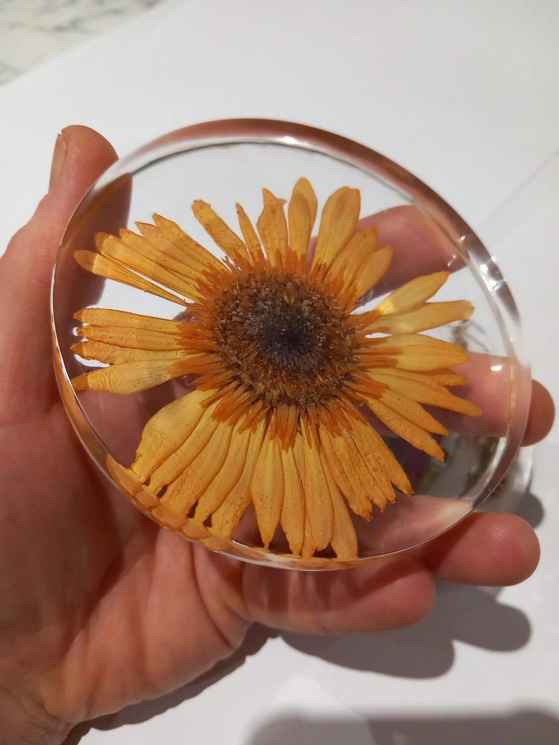 Person holding glass paperweight with dried yellow flower inside