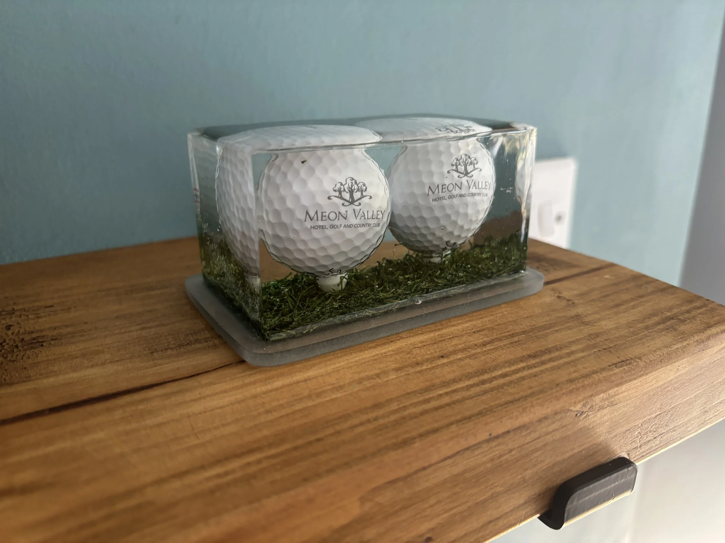 Two golf balls with the logo ‘Meon Valley Hotel, Golf and Country Club’ inside a clear resin block with moss and dried grass, placed on a wooden surface.