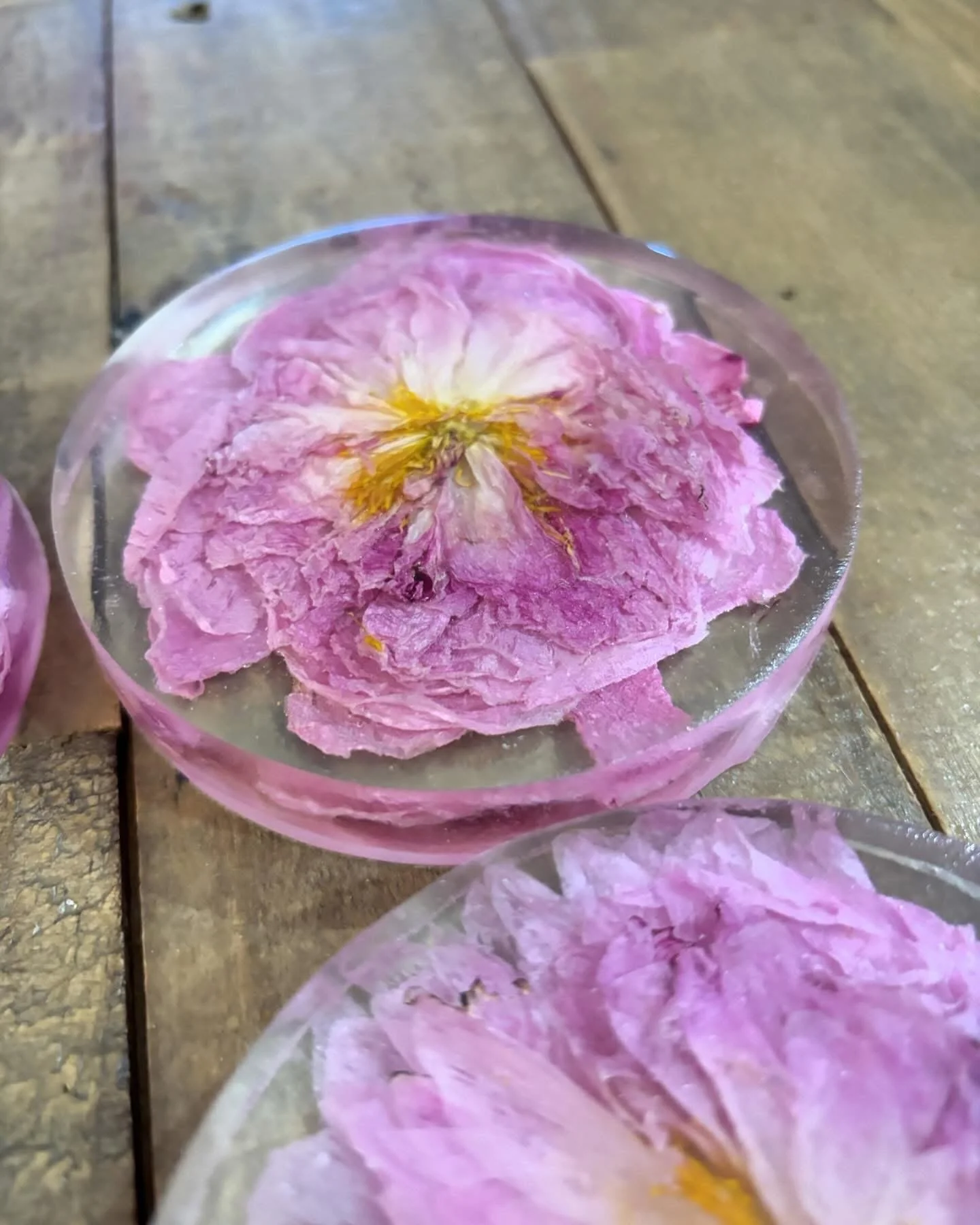 A round glass dish containing a pressed pink flower with yellow center, floating in clear liquid on a wooden surface.