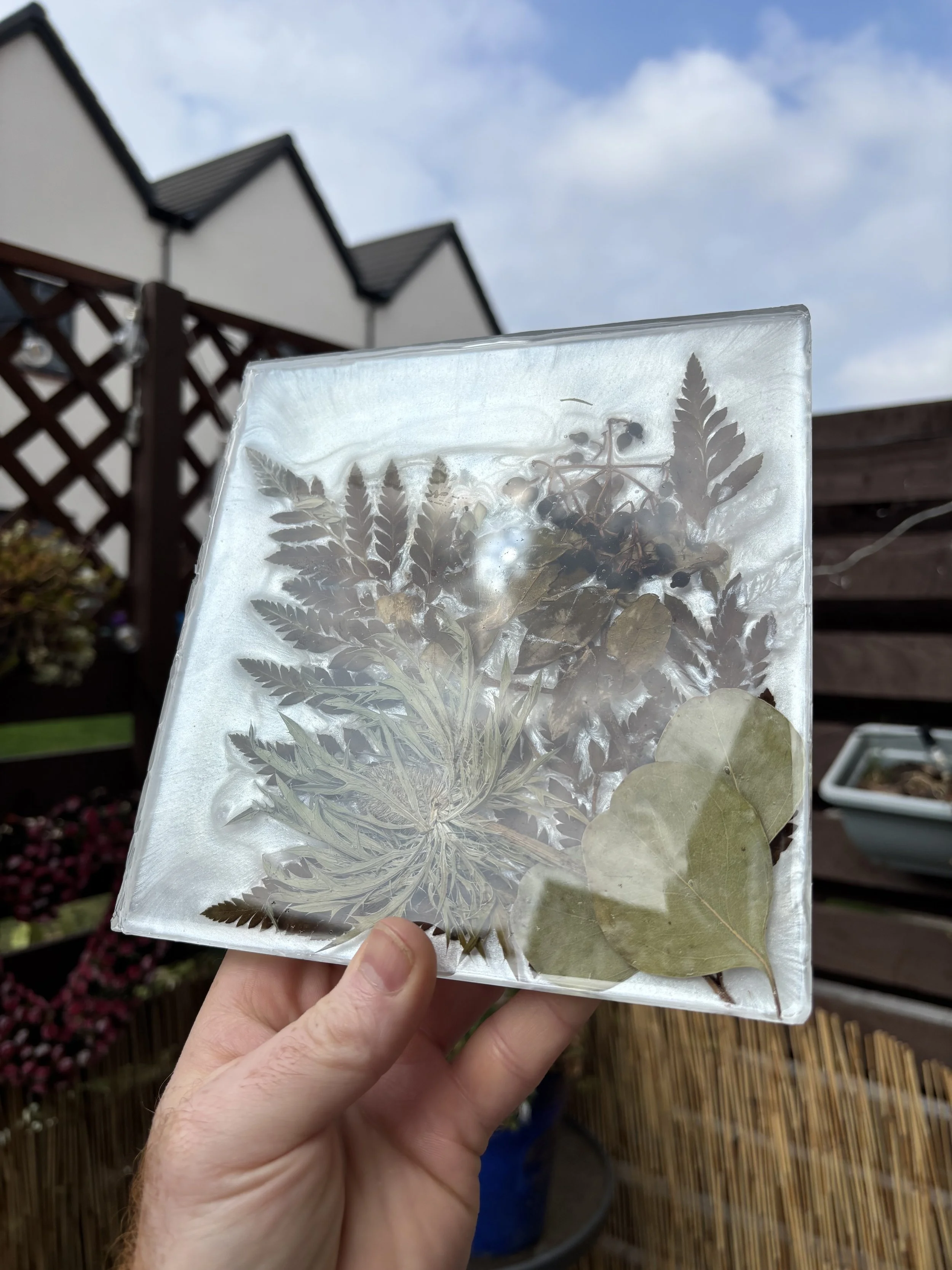 Close-up of a clear acrylic or glass block with embedded dried leaves and fern-like plants, held in a hand outdoors with a wooden fence and houses in the background.