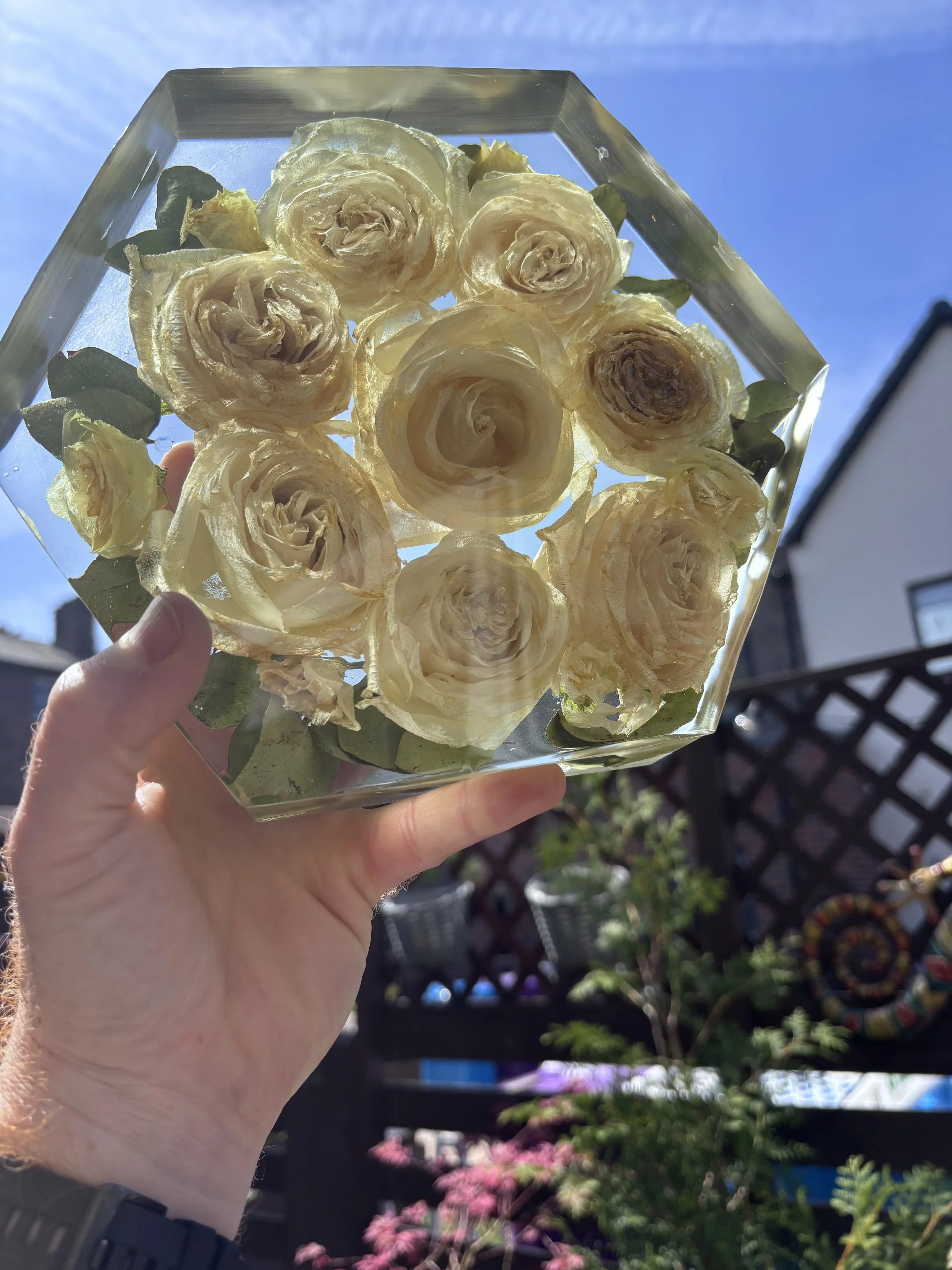 A hand holding a clear square glass container filled with cream-colored roses, viewed against a bright blue sky with some houses and greenery in the background.