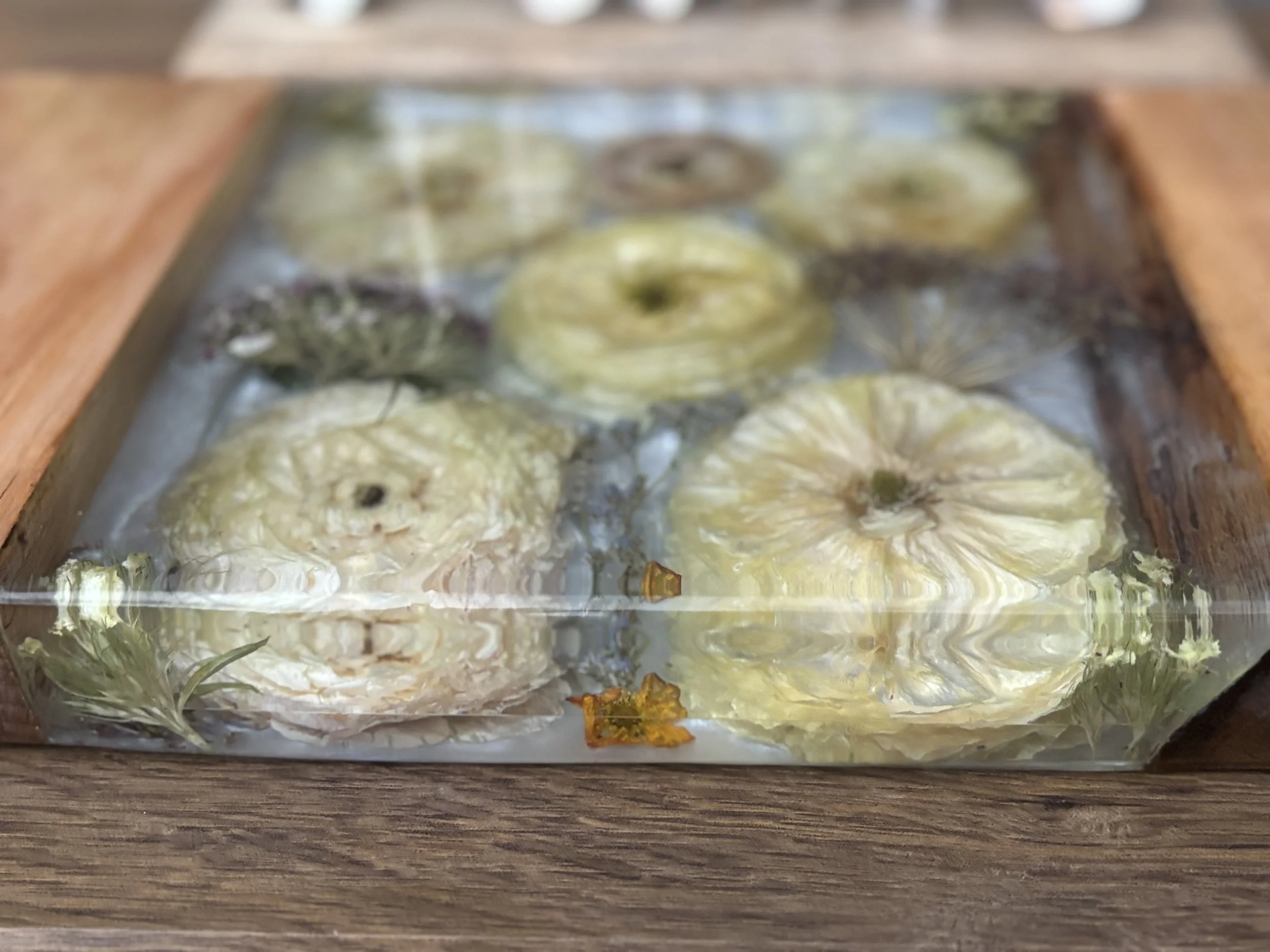 Dried pineapple rings in a glass box with a wooden frame, with some dried herbs or flowers inside.