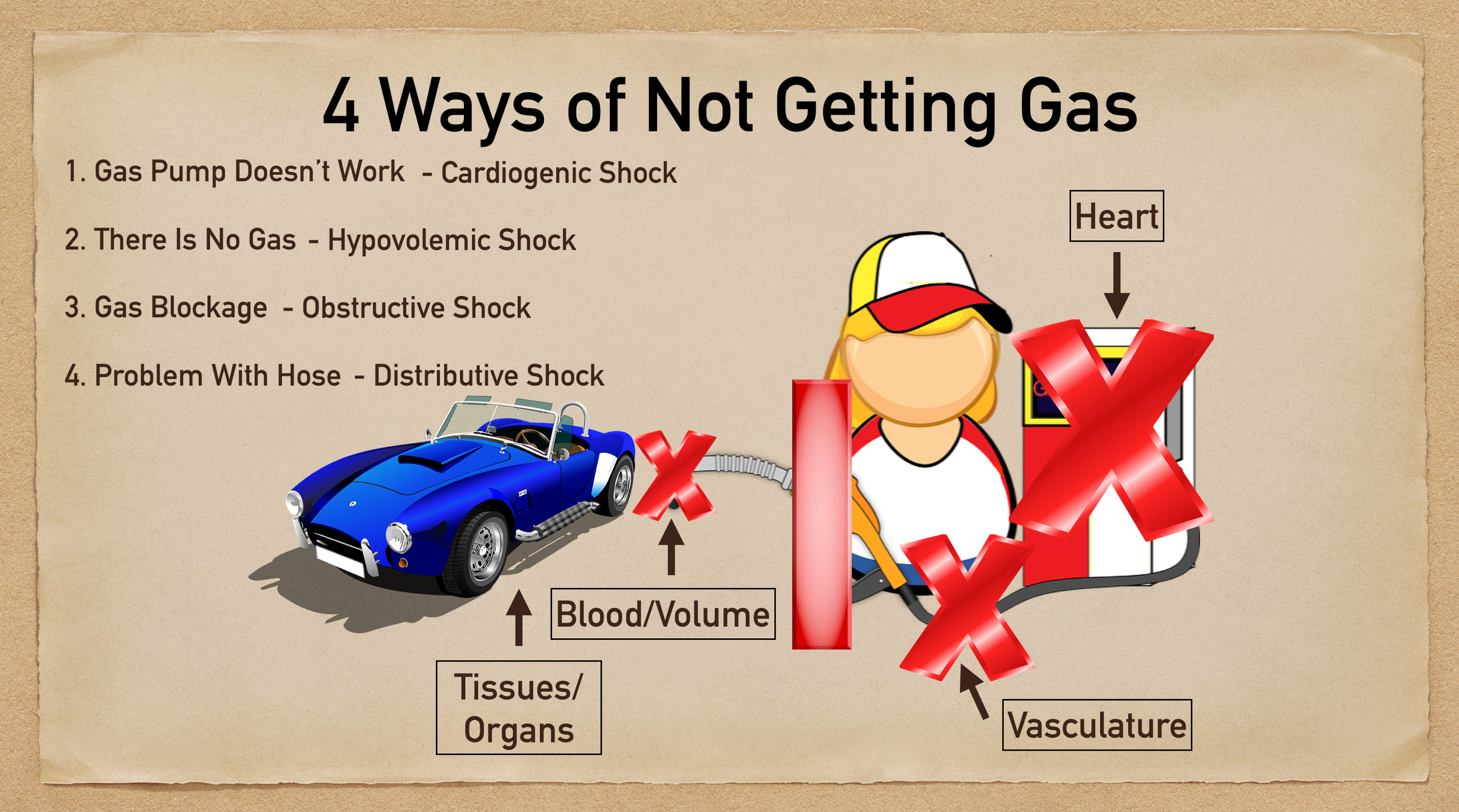 hypotension types of shock