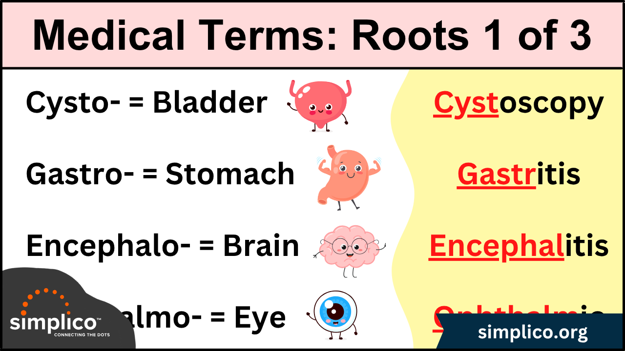 Medical Terminology: List of Root Words and Meanings