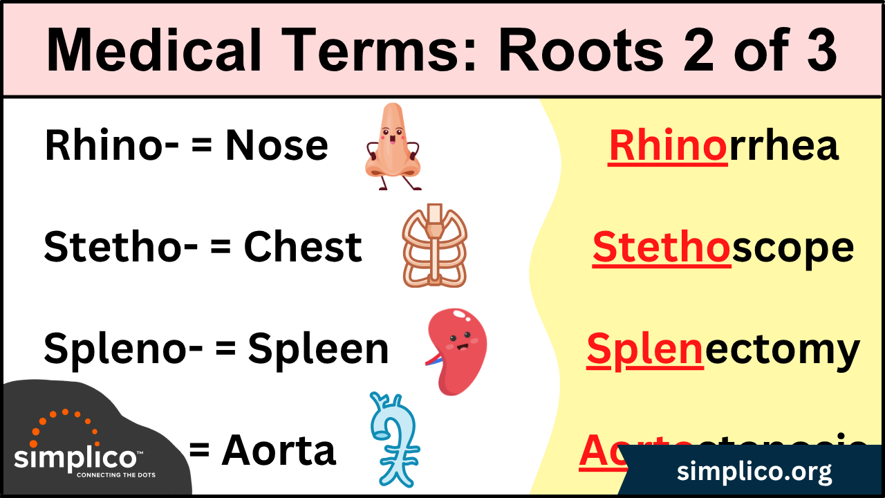 Medical Terminology: List of Root Words and Meanings - Part II