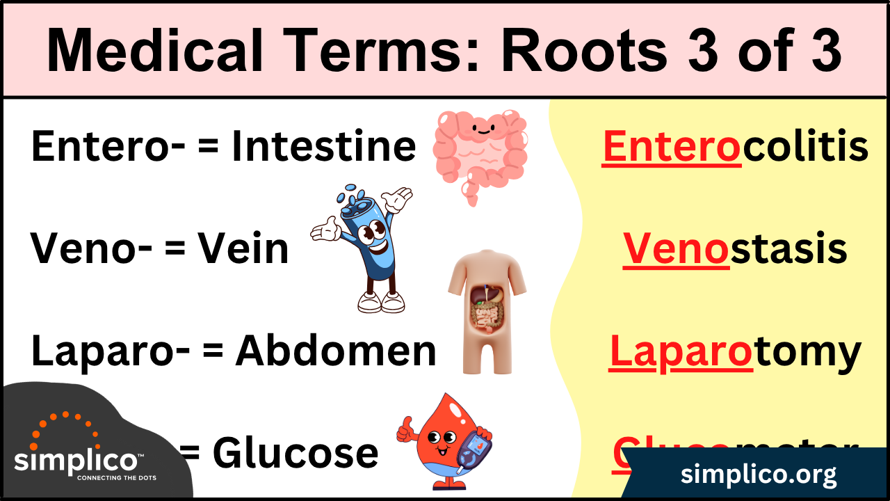 Medical Terminology: List of Root Words and Meanings - Part III