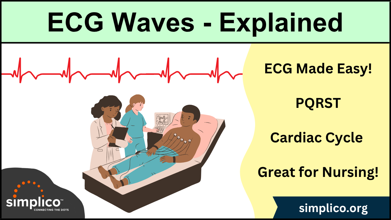 ECG Waveform Explained: Labeled Components