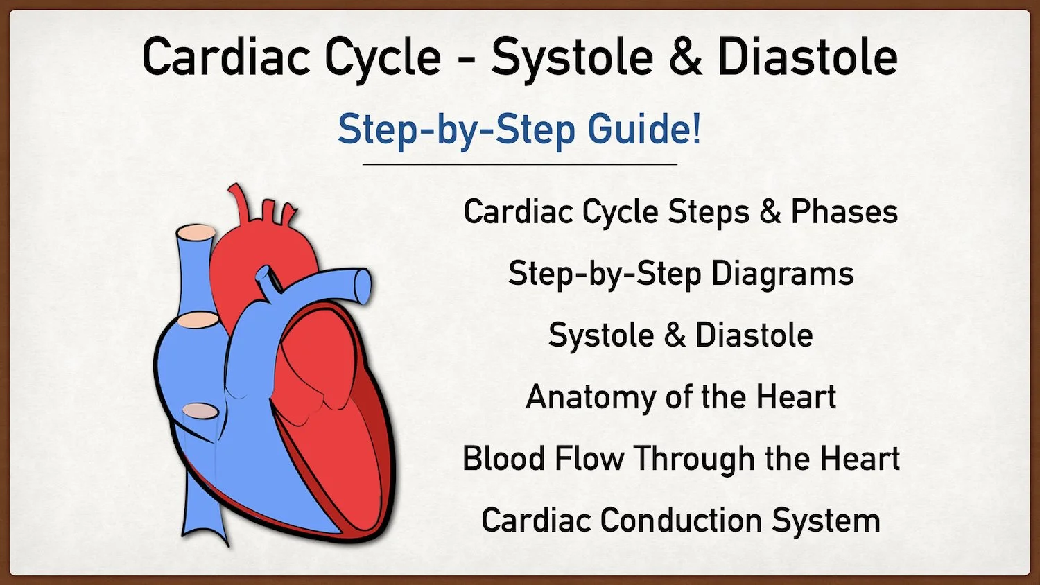 Cardiac Cycle Phases: Systole and Diastole Step-by-Step Diagram