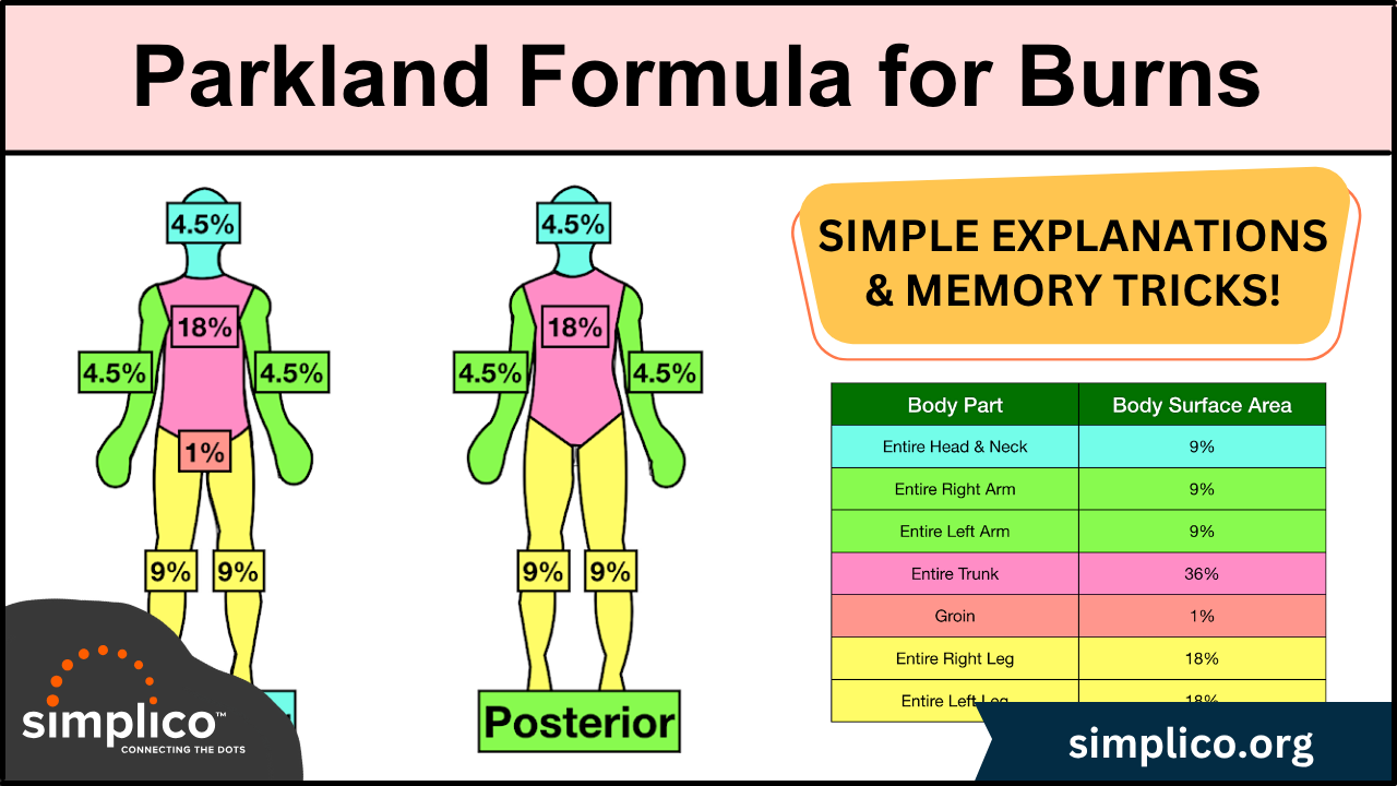 Parkland Formula for Burns: Pediatric and Adult Examples
