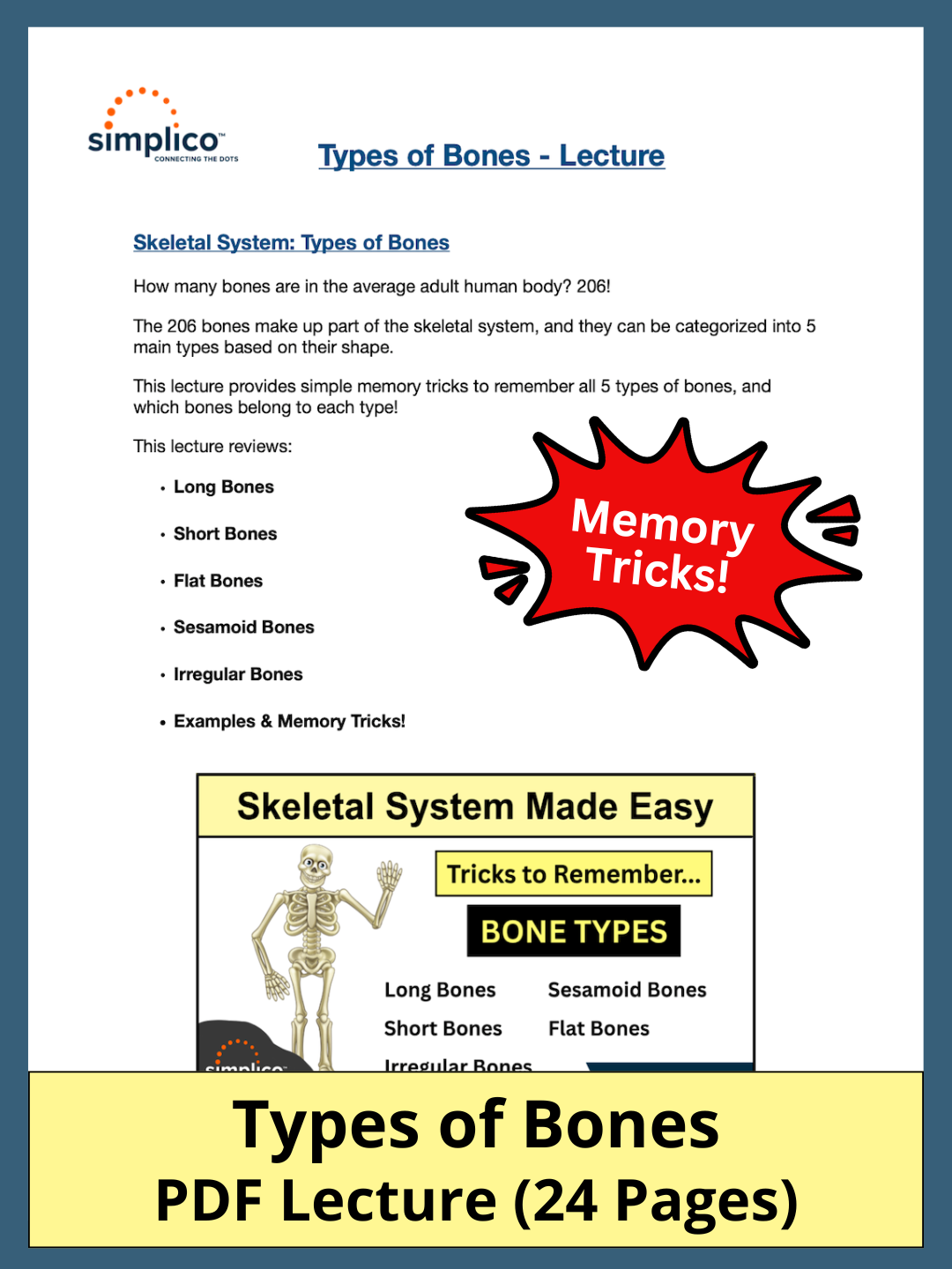 types of bones in human body skeletal system