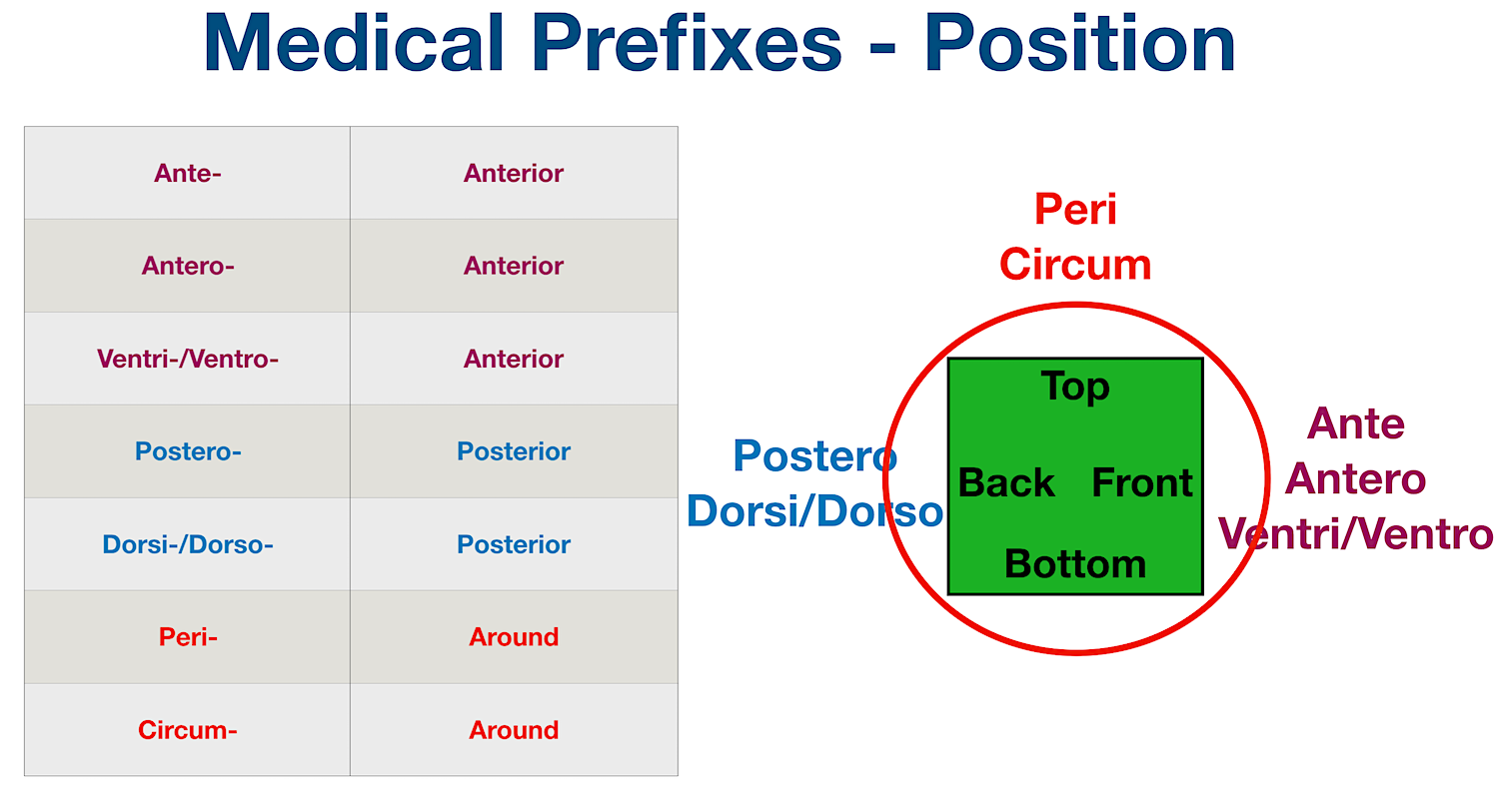 Medical Terminology: List of common prefixes for position and location