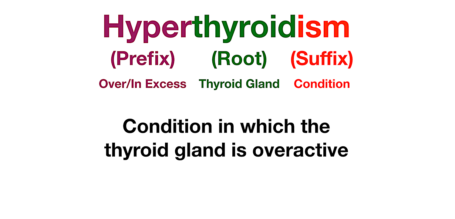 Medical Terminology Example: Hyper = Prefix and means above normal; Thyroid = Root and refers to the thyroid gland; Ism = Suffix and describes a condition; Hyperthyroidism = Condition in which the thyroid gland is overactive