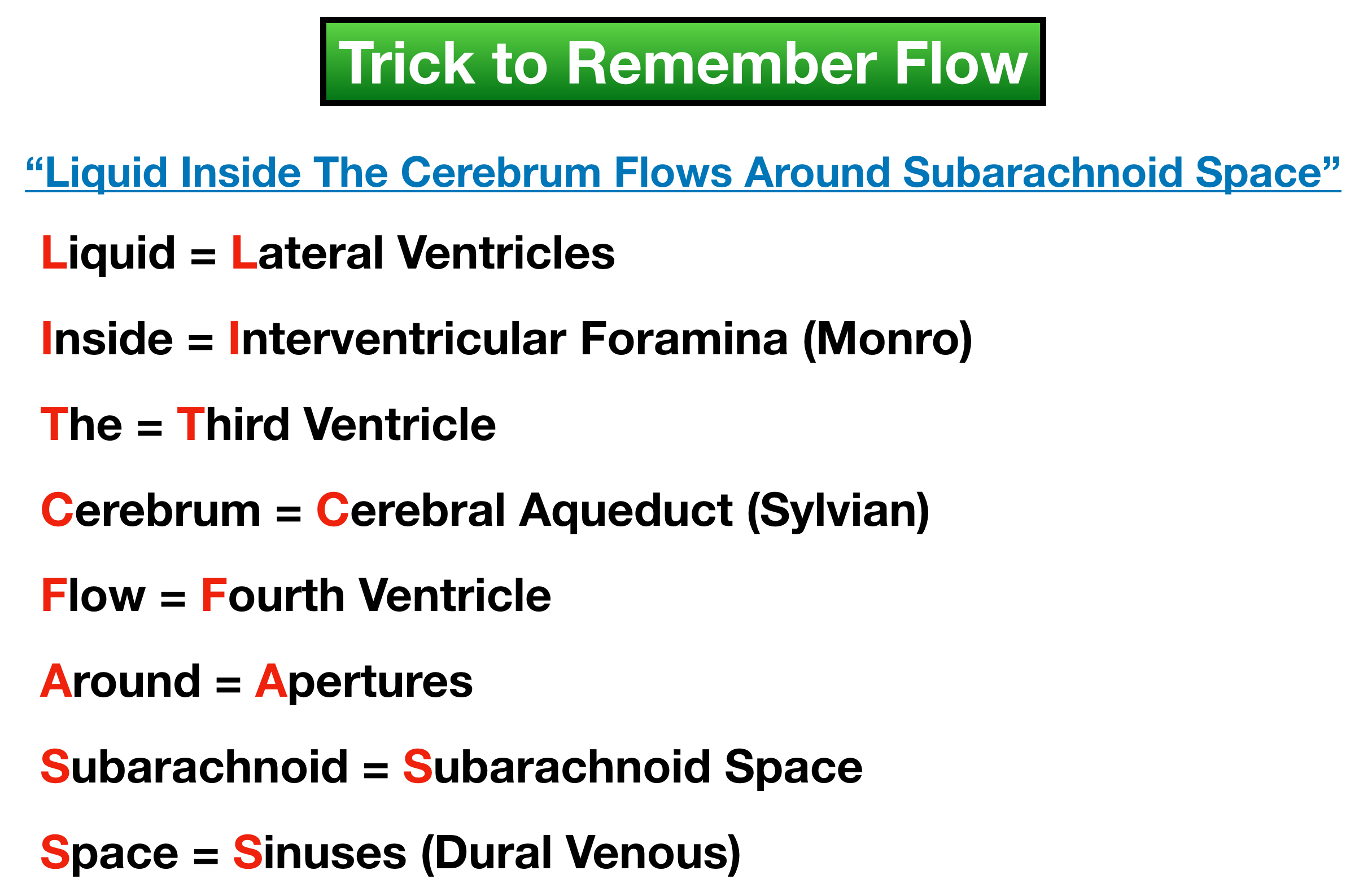 Image: Simple mnemonic to remember the structures of the ventricular system along with the order in which cerebrospinal fluid flows through those structures.