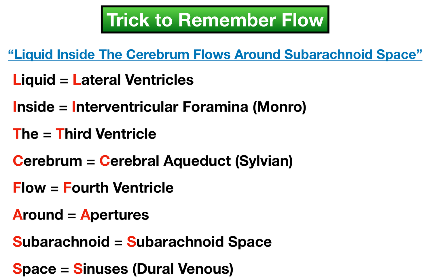 Ventricles of the Brain: Anatomy, Function, Labeled Diagram, Location ...
