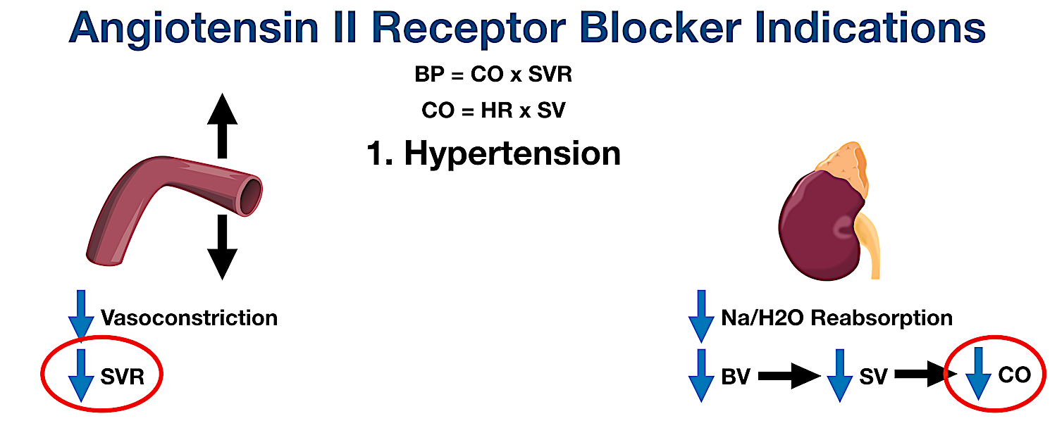 ARBs can be used to treat hypertension as they decrease systemic vascular resistance (SVR) and cardiac output (CO).