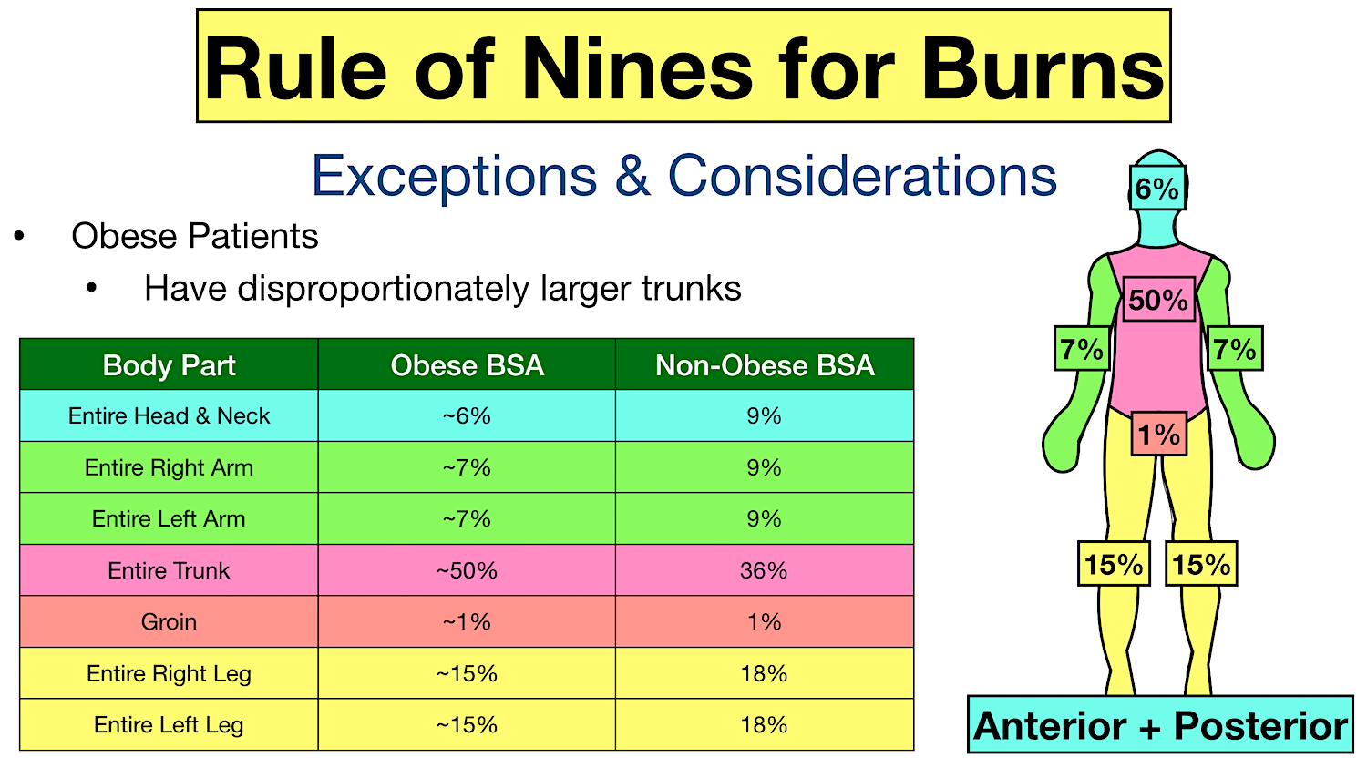 rule of nines burn chart for adult and obese adult