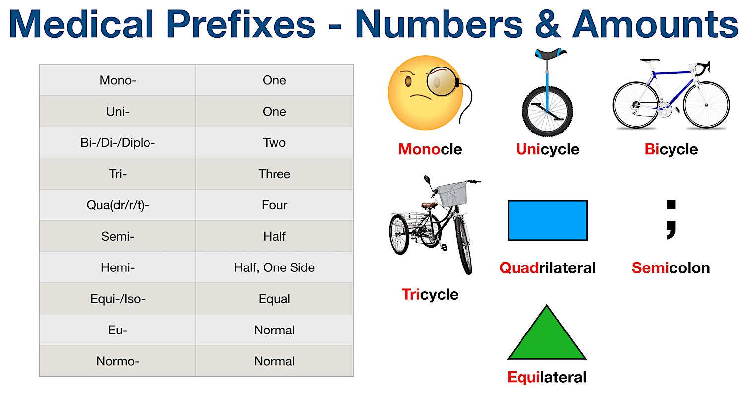 Medical Terminology: List of common prefixes for numbers and amounts