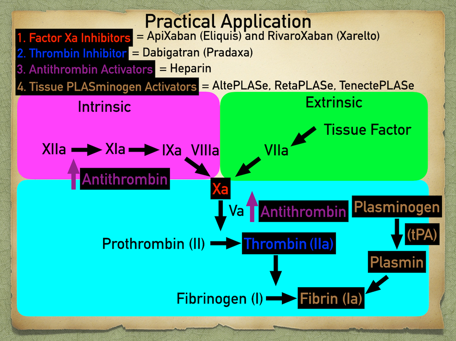Medications such as factor Xa inhibitors, direct thrombin inhibitors, antithrombin activators, and tissue plasminogen activators all function as blood thinners.