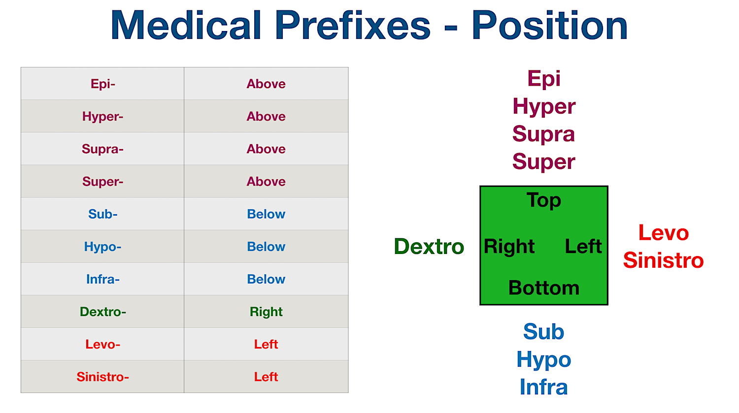 Medical Terminology: List of common prefixes for position and location