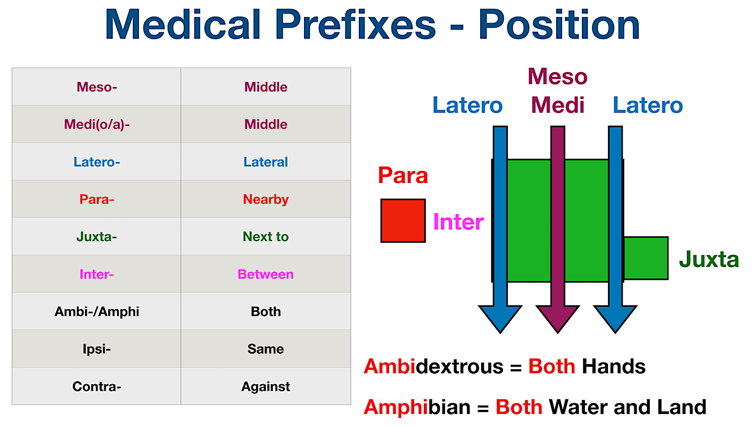 Medical Terminology: List of common prefixes for position and location