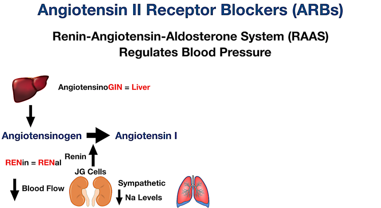 Angiotensin II Receptor Blockers (ARBs): Drug List, Example Meds, Side ...