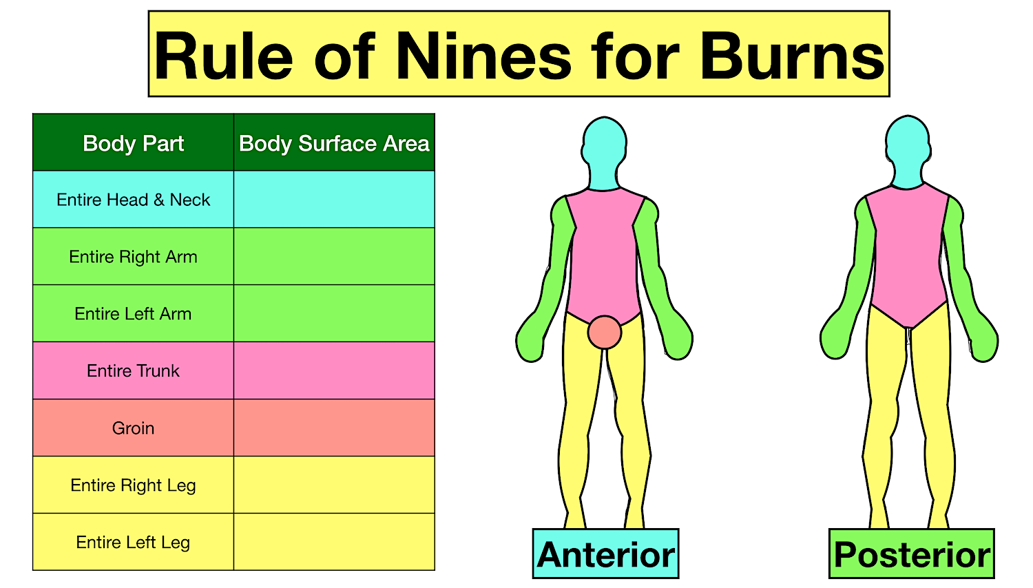 rule of nines for burns chart and diagram quiz for emts