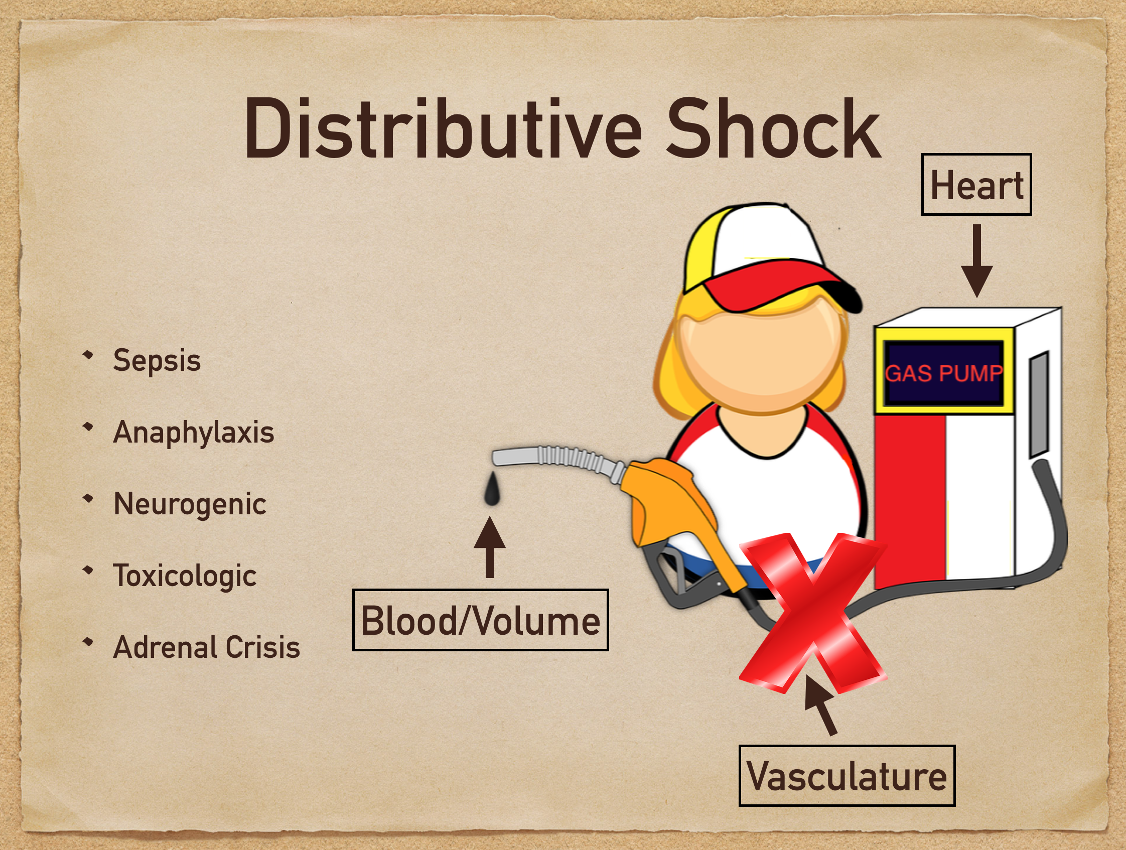 distributive shock
