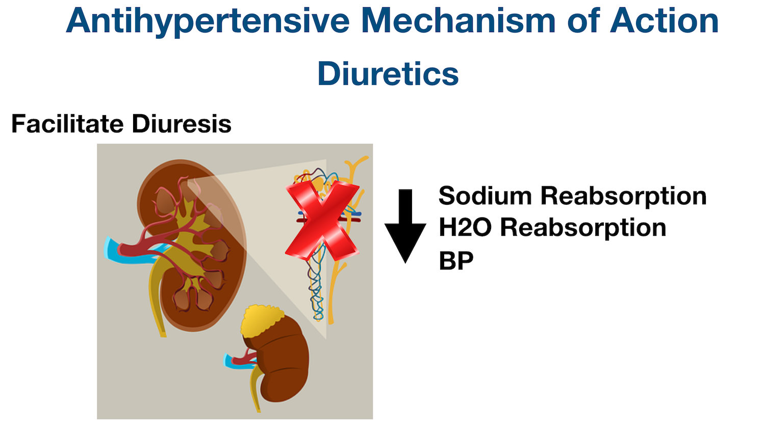 Diuretic Mechanism of Action: Diuretics facilitate diuresis mainly by blocking sodium and/or water reabsorption in the nephron of the kidney. The increase in diuresis decreases plasma volume, stroke volume, and blood pressure.