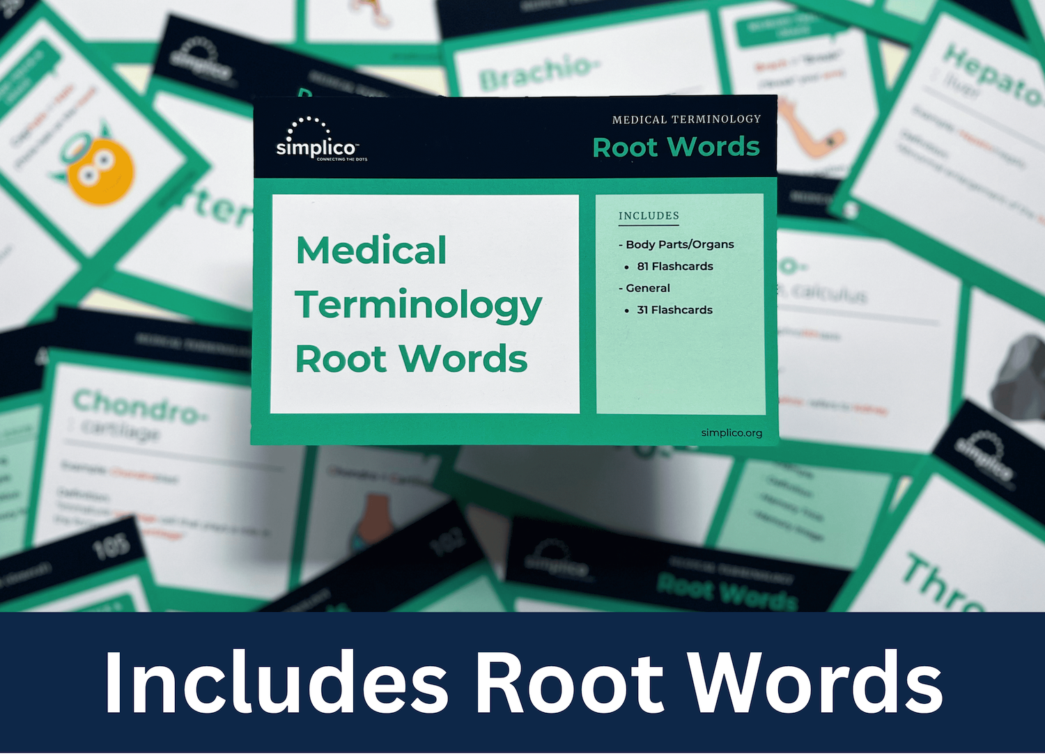 medical terms root words list meaning