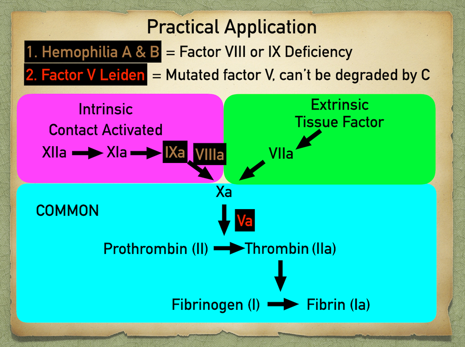 Disorders such as hemophilia result in a bleeding risk due to factor deficiencies. Disorders such as factor V leiden lead to a clotting risk due to inability to regulate/inhibit factor V.