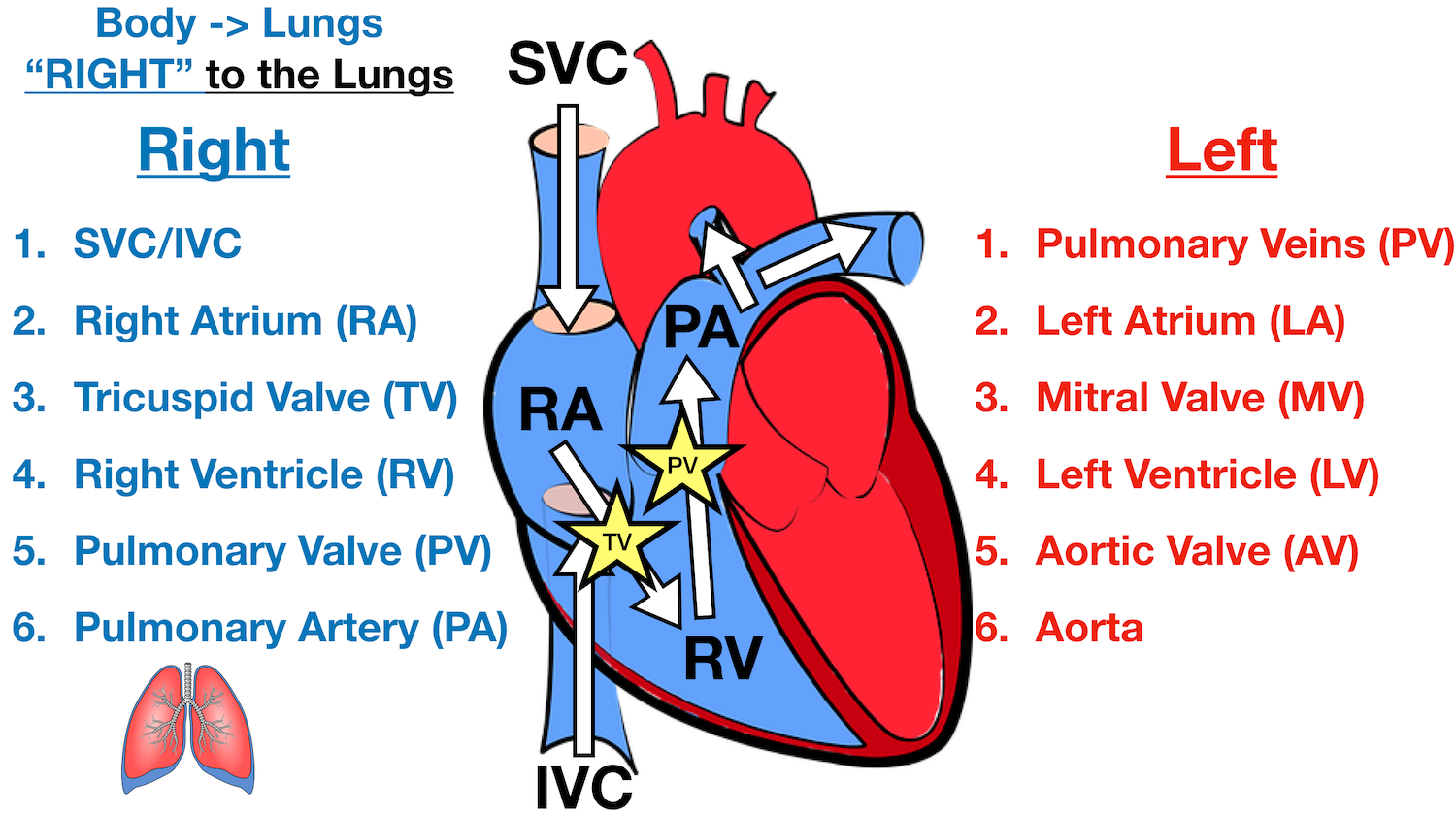 Diagram: Trick to remember the function of the right side of the heart is to pump deoxygenated blood to the lungs - Blood goes “RIGHT” to the lungs.