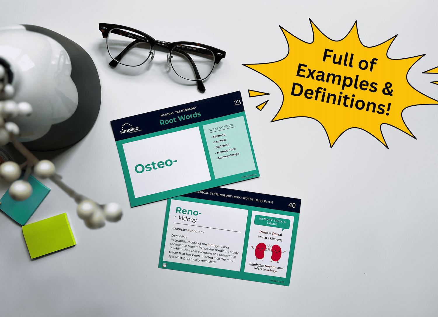 medical terminology root word flashcards simplico
