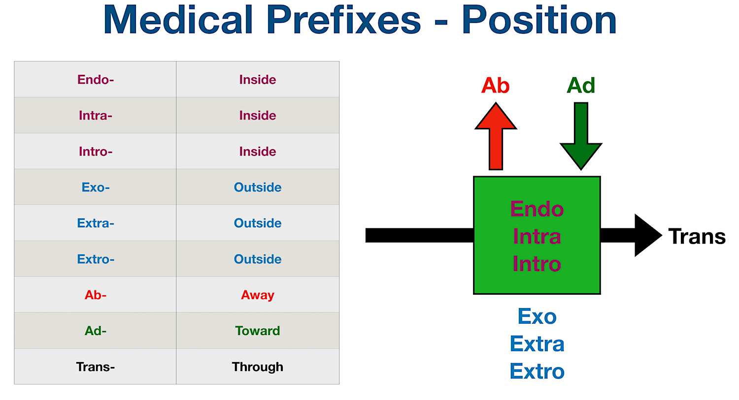 Medical Terminology: List of common prefixes for position, location, and movement