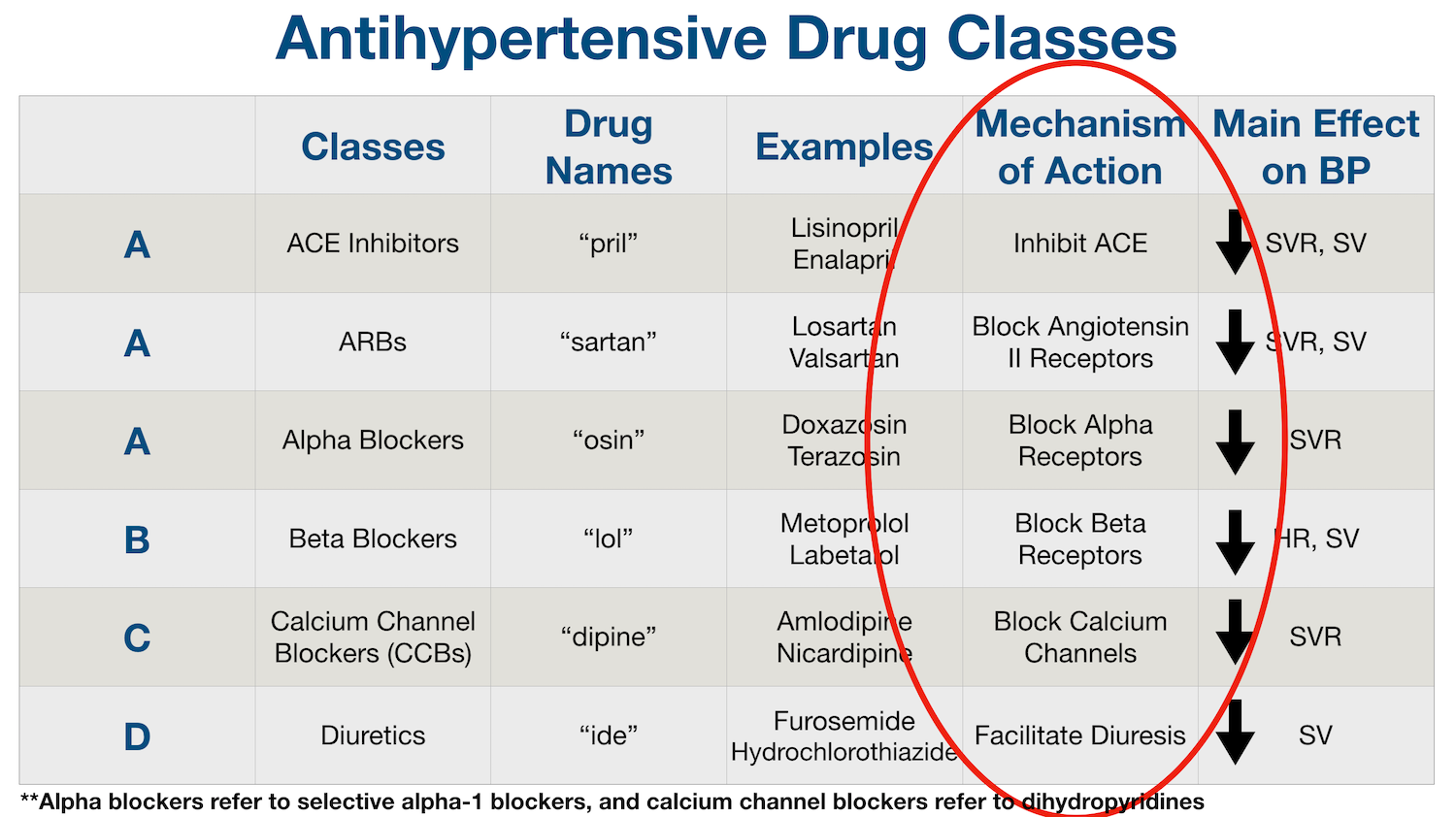 Antihypertensive Medications: Mechanism of Action