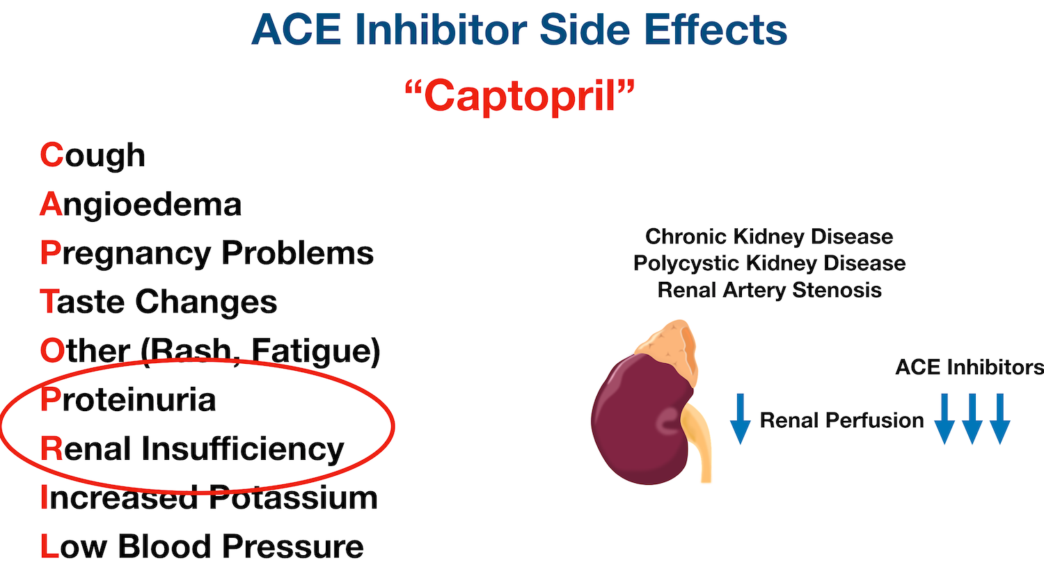 ACE inhibitors can lead to kidney injury, especially in the presence of underlying renal disease and poor renal perfusion at baseline. ACE inhibitors can decrease the already poor renal perfusion even more.
